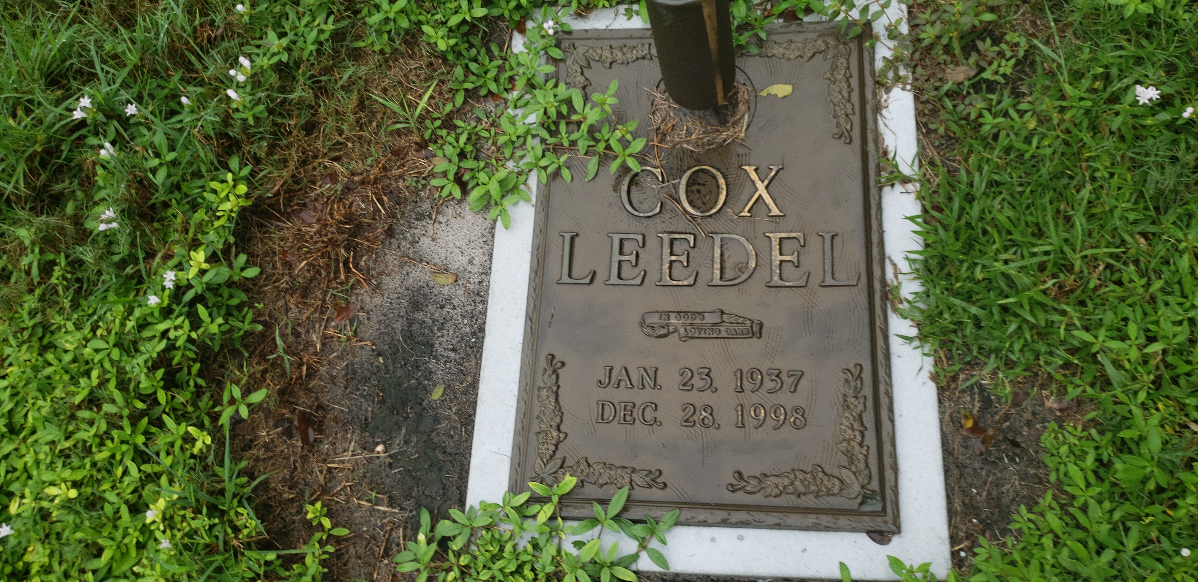 Cox Leedel