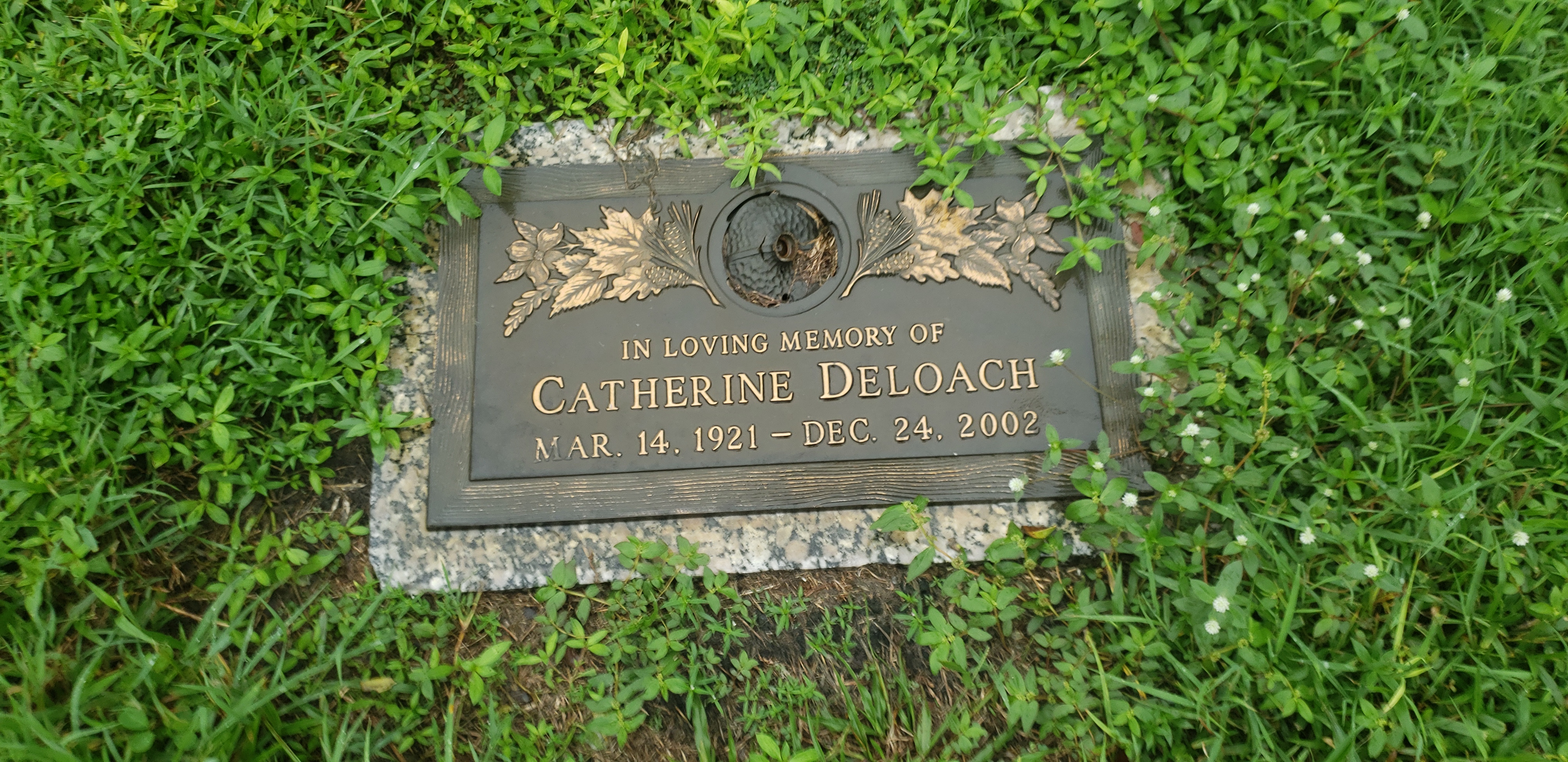 Catherine Deloach