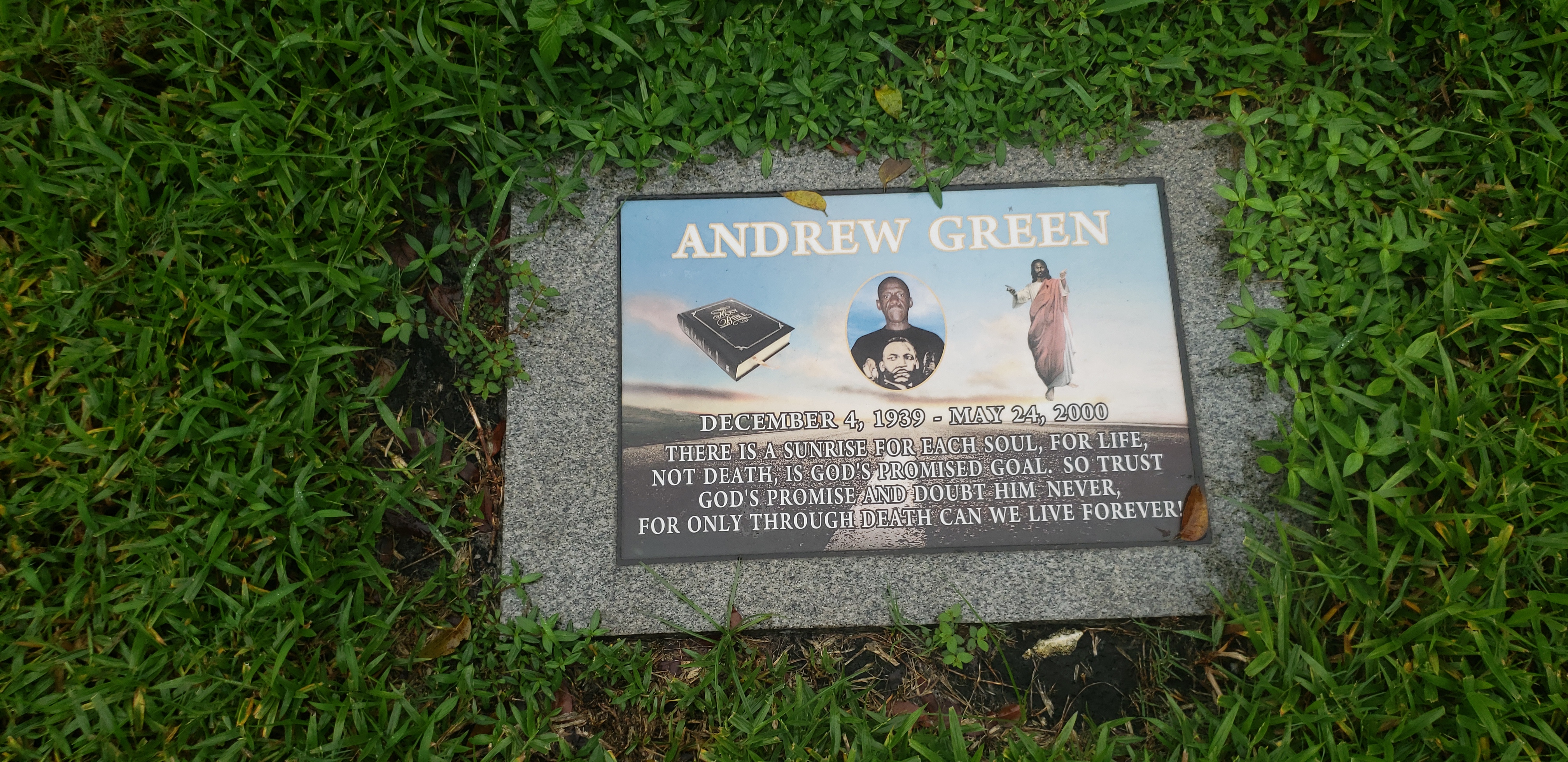 Andrew Green