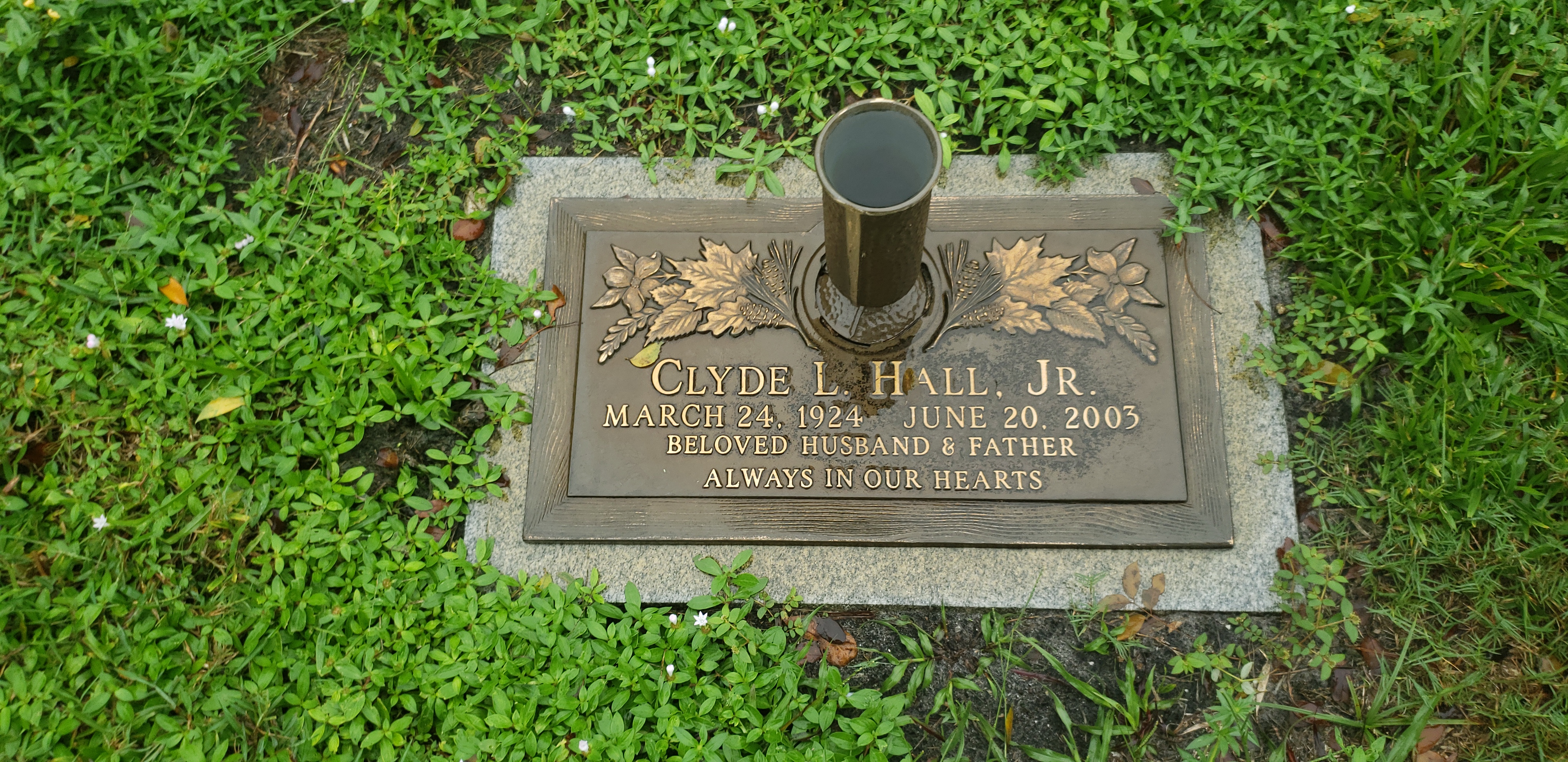 Clyde L Hall, Jr