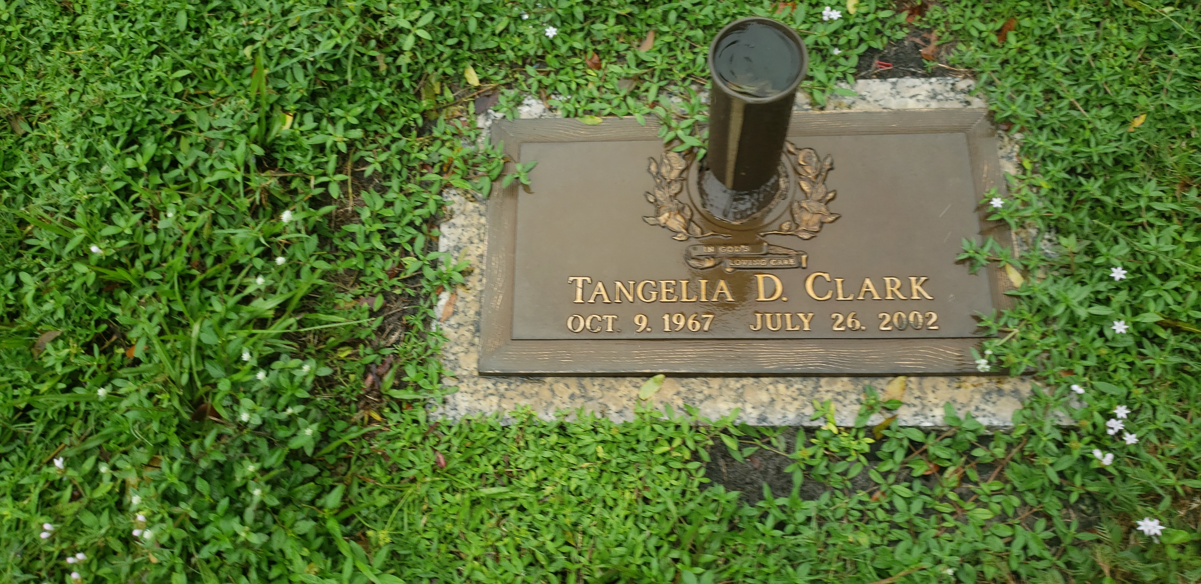 Tangelia D Clark