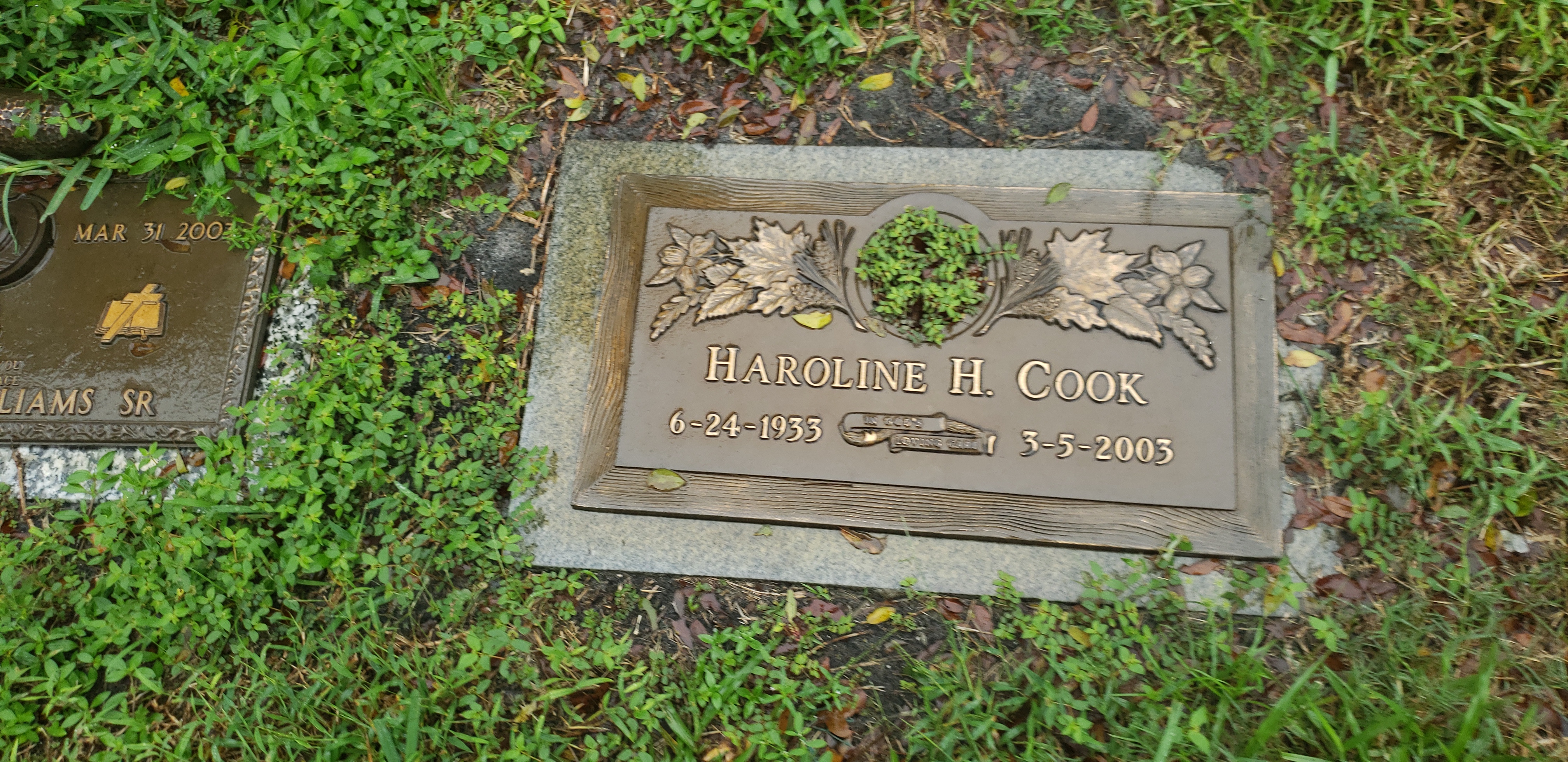 Haroline H Cook