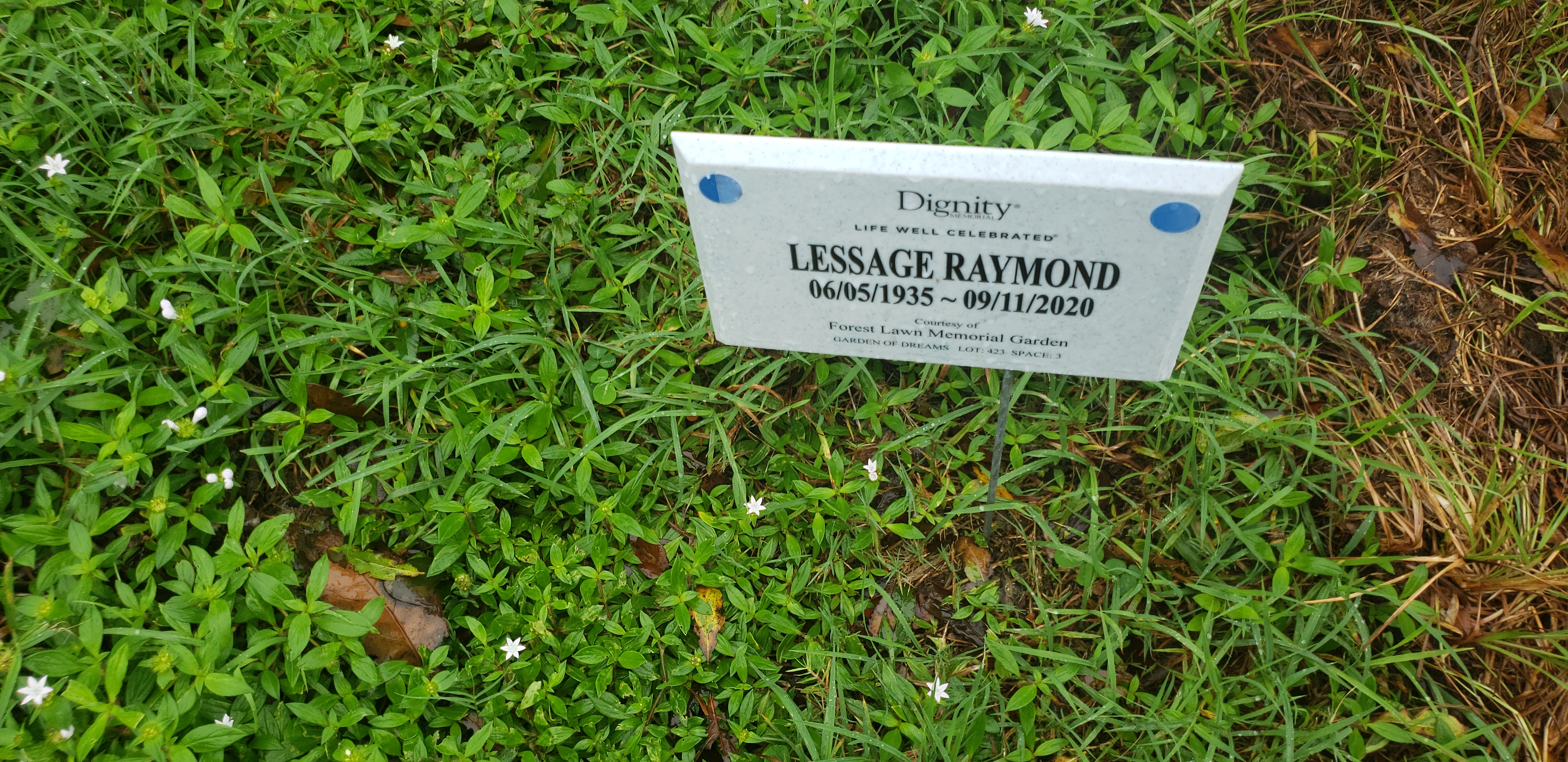 Lessage Raymond