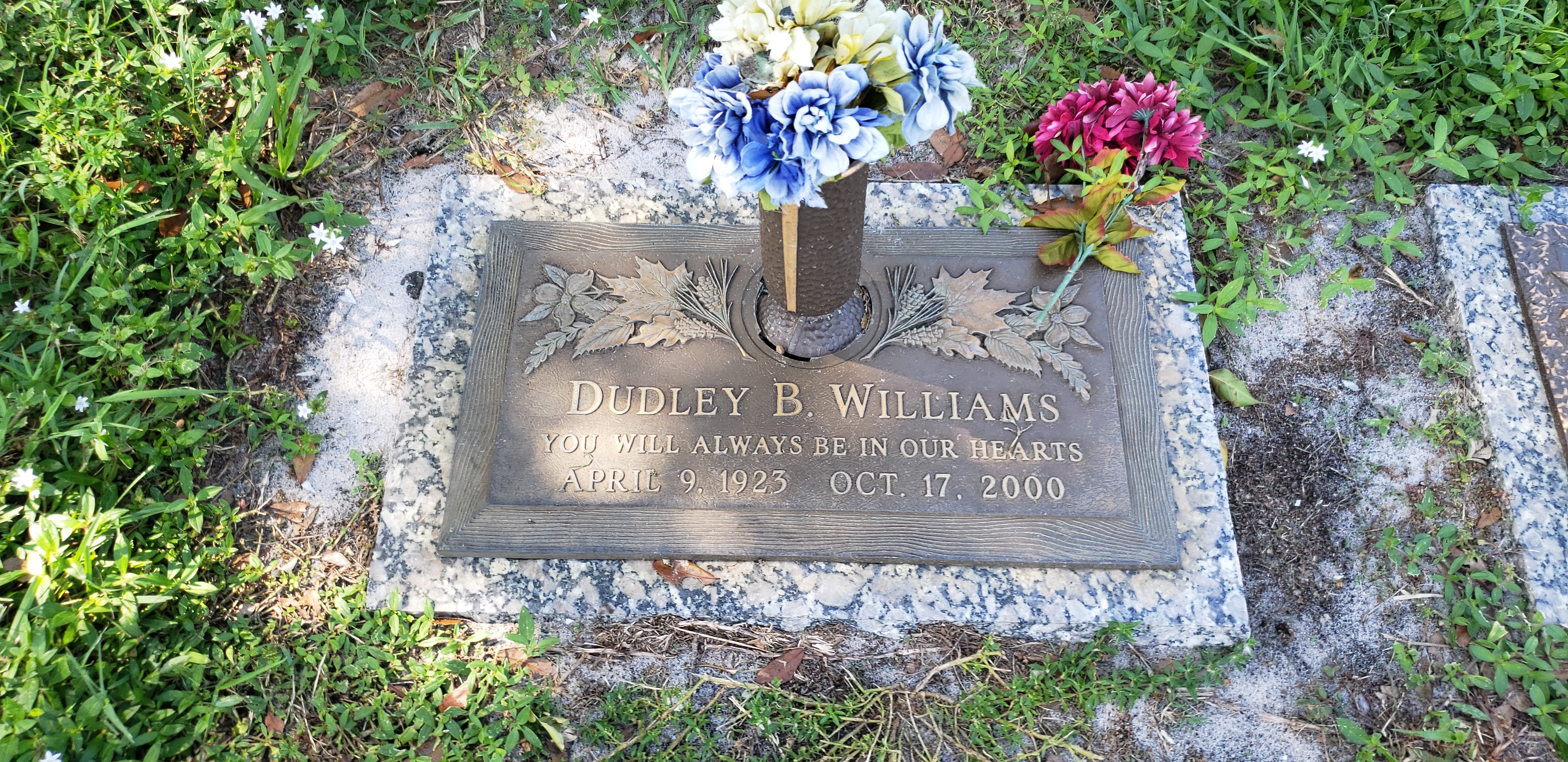 Dudley B Williams