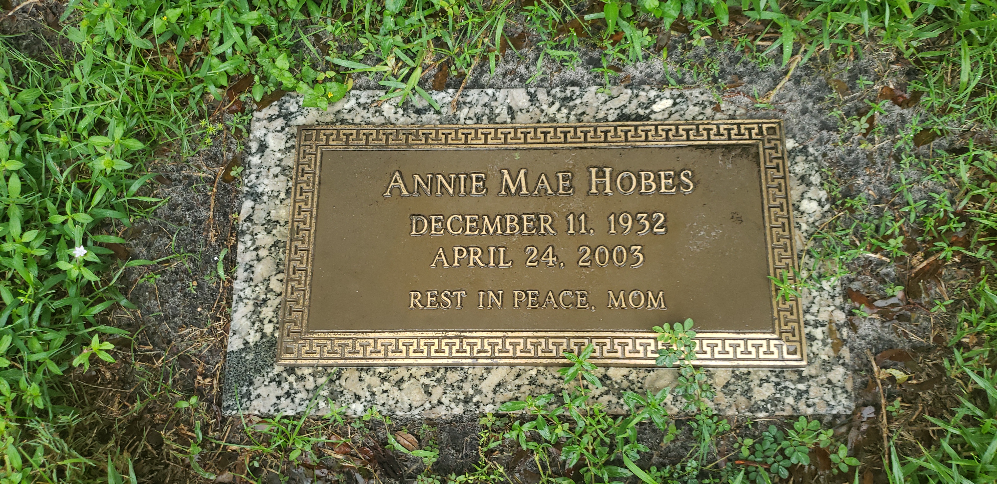 Annie Mae Hobes