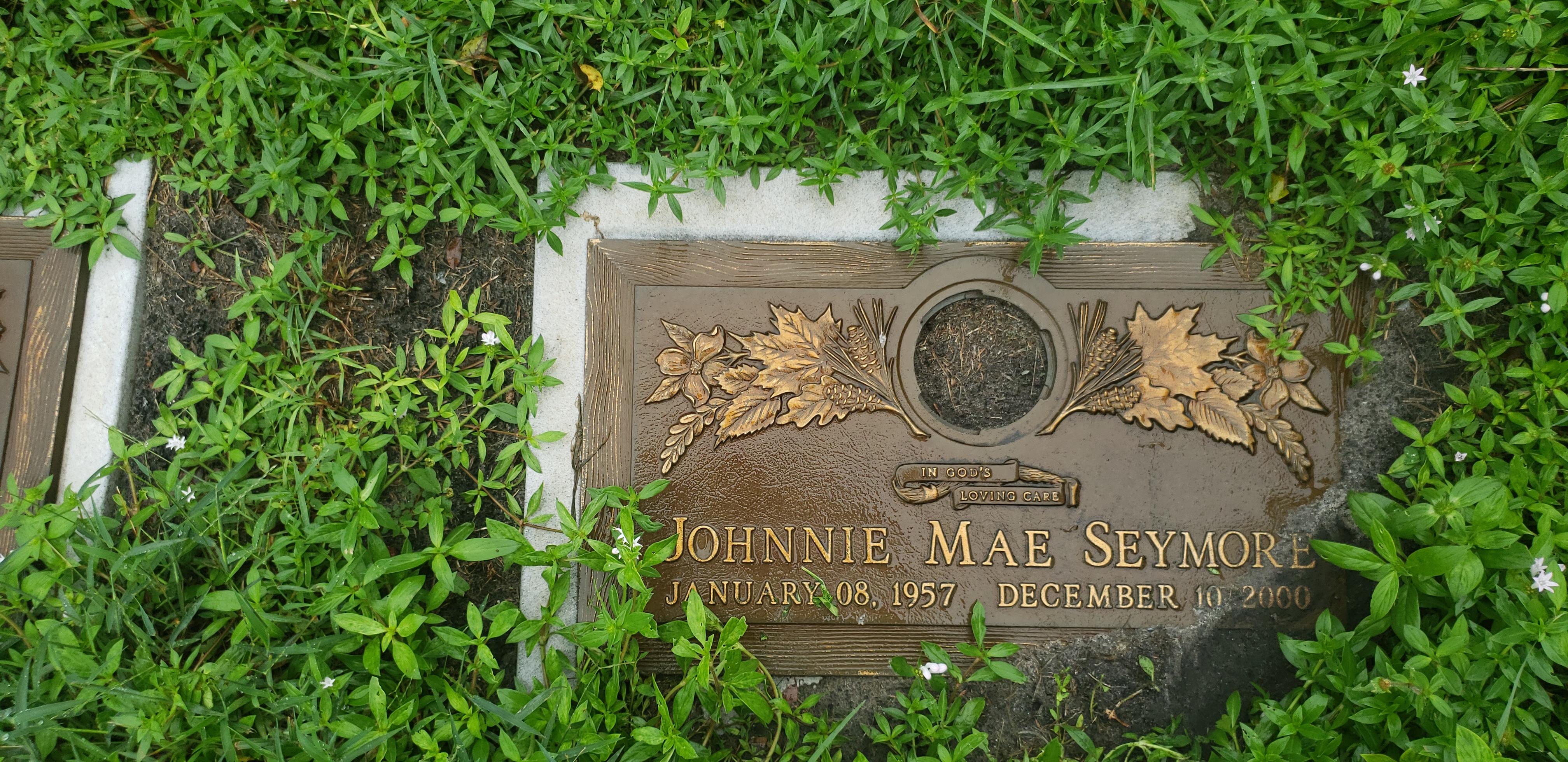 Johnnie Mae Seymore
