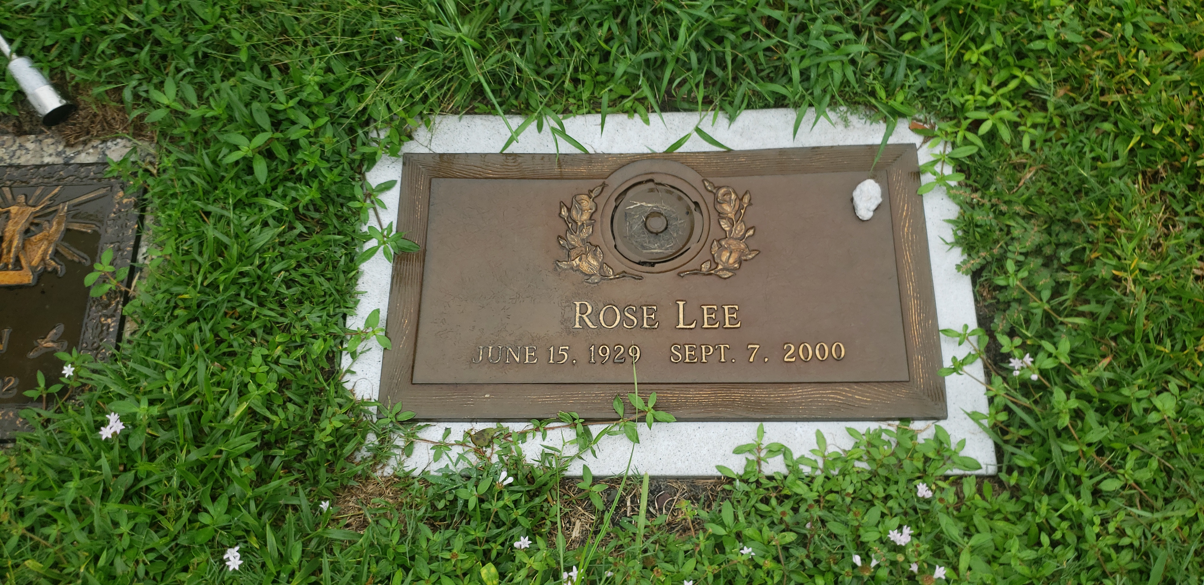 Rose Lee