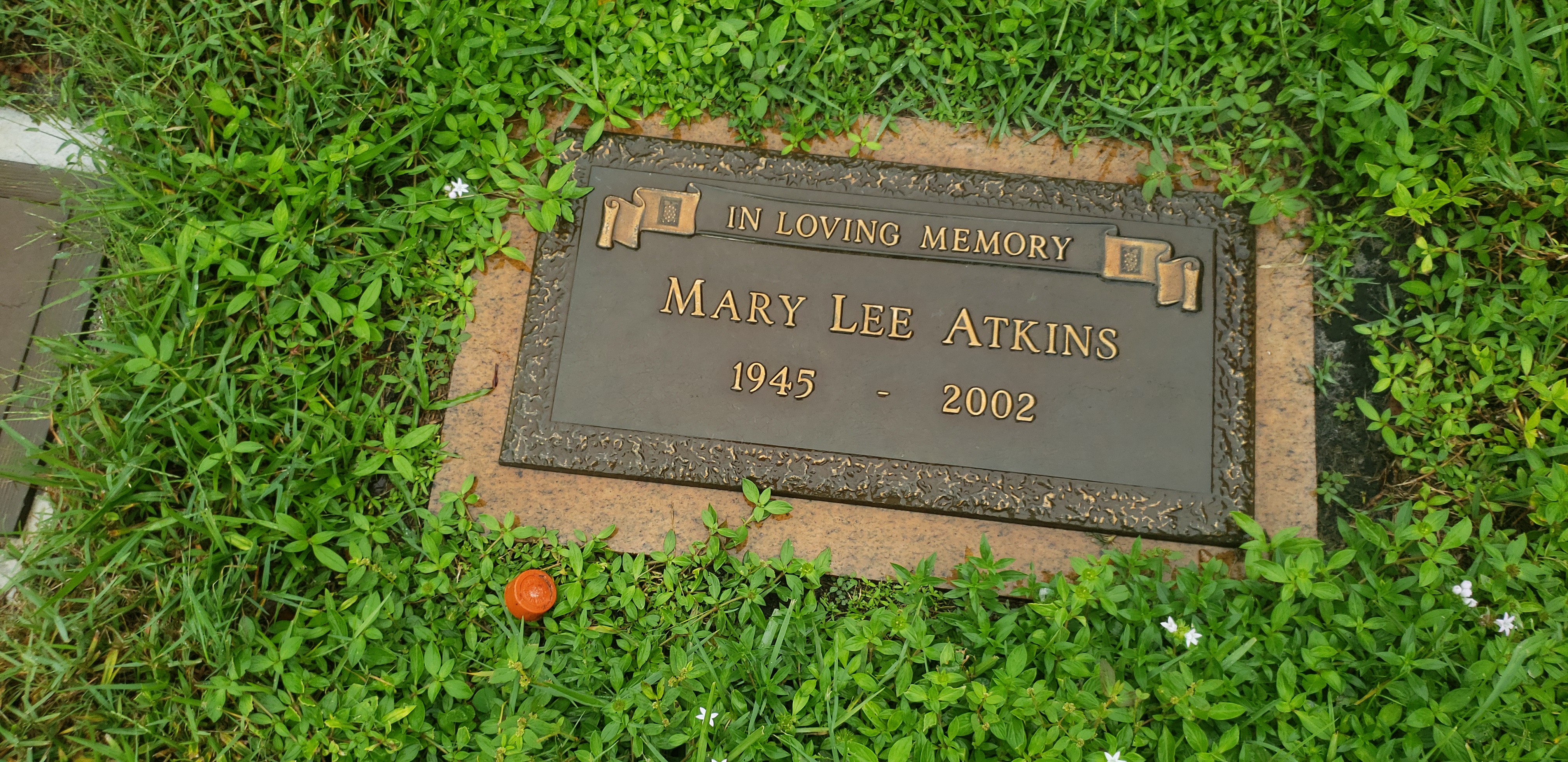 Mary Lee Atkins