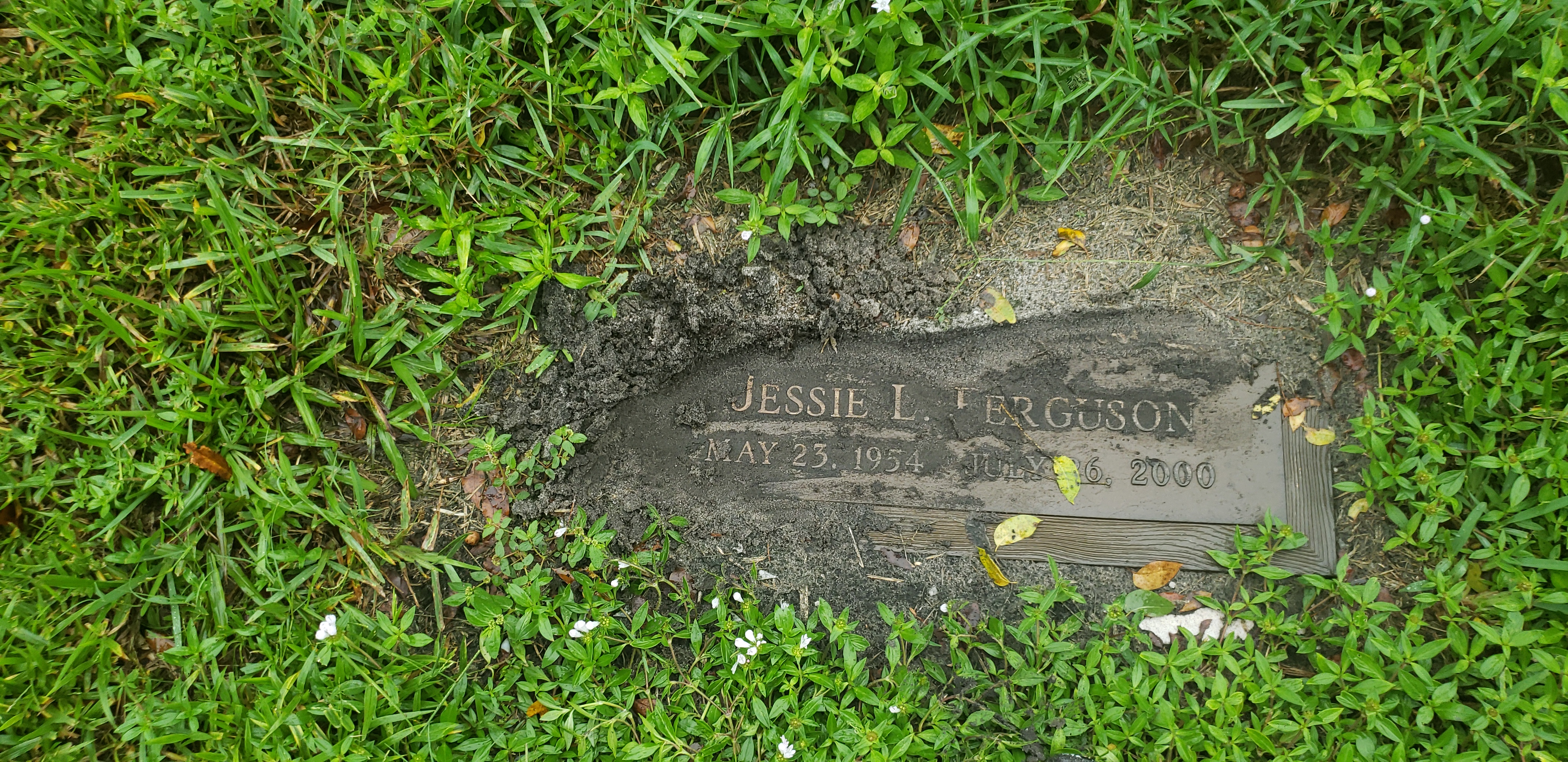 Jesie L Ferguson