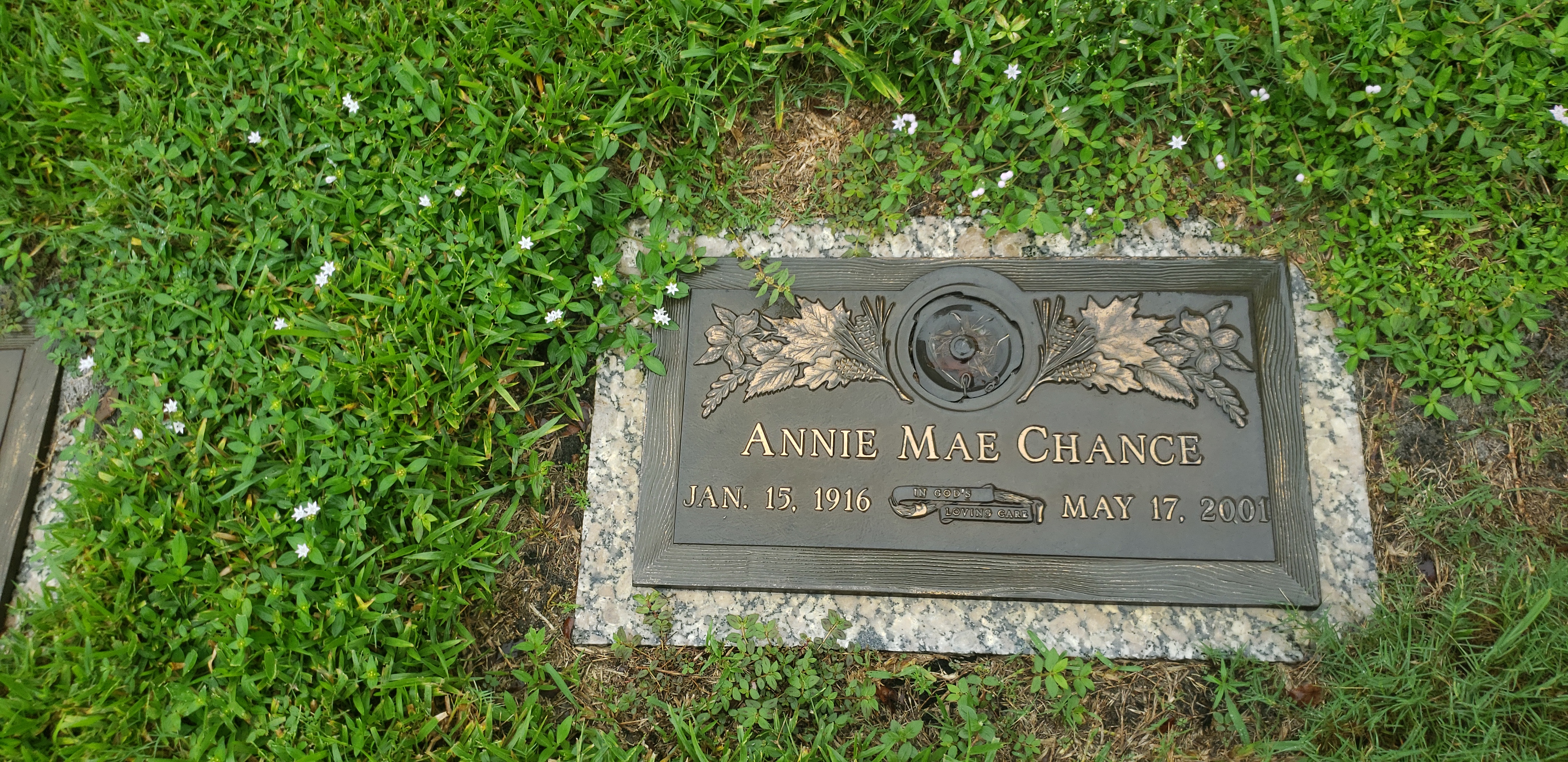 Annie Mae Chance