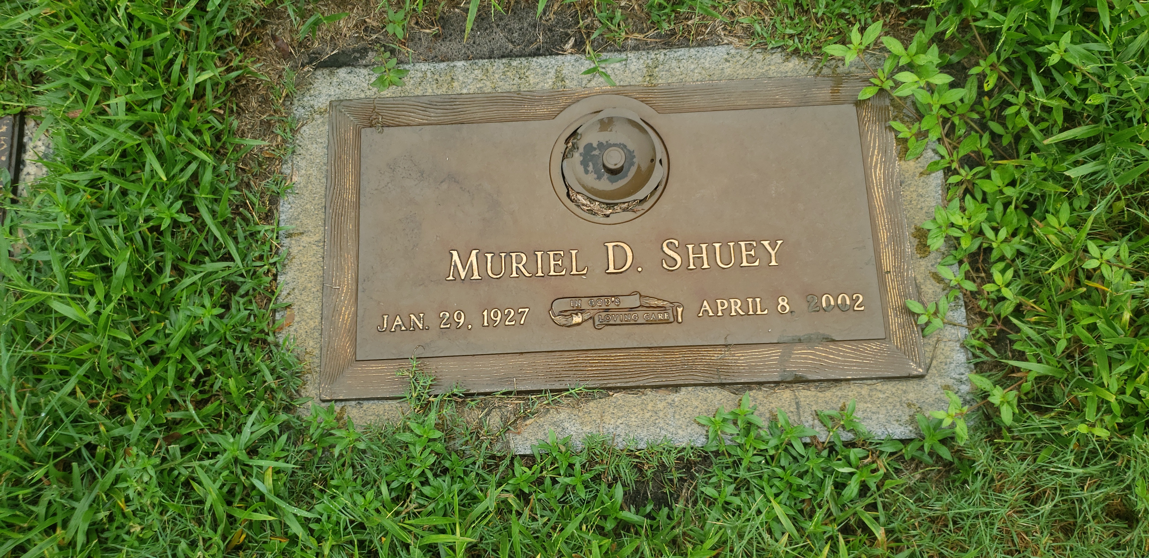Muriel D Shuey
