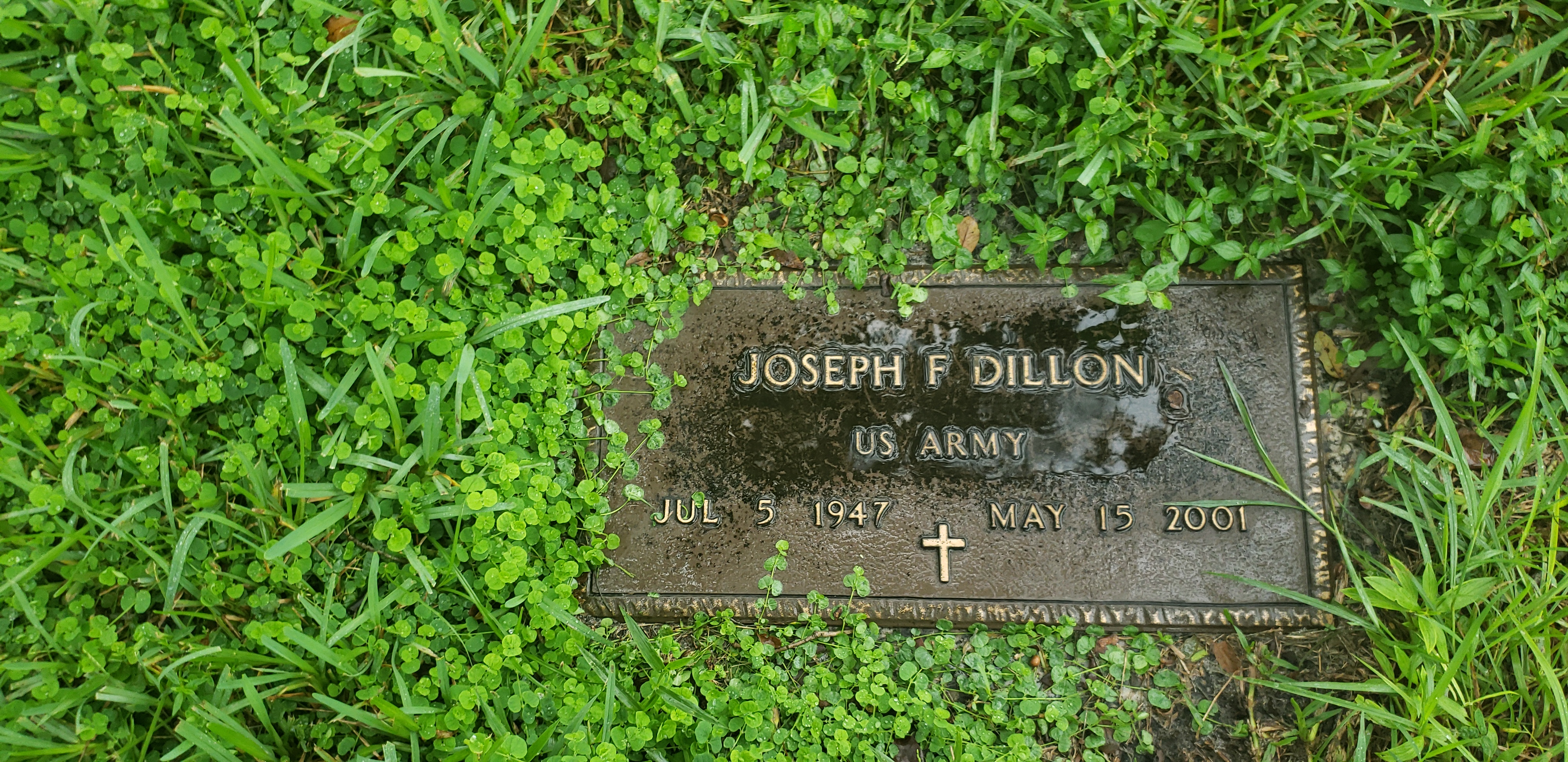 Joseph F Dillon