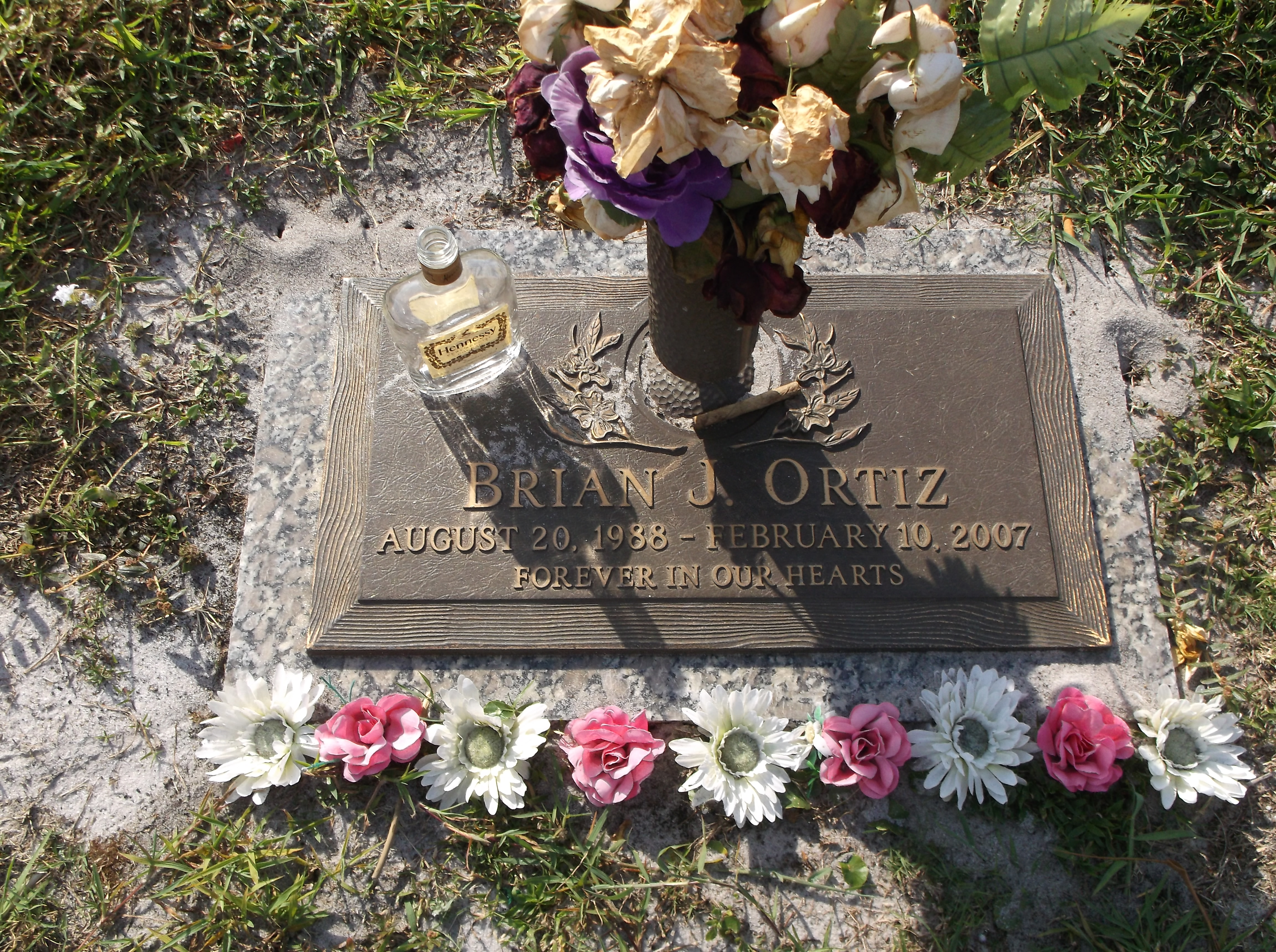 Brian J Ortiz