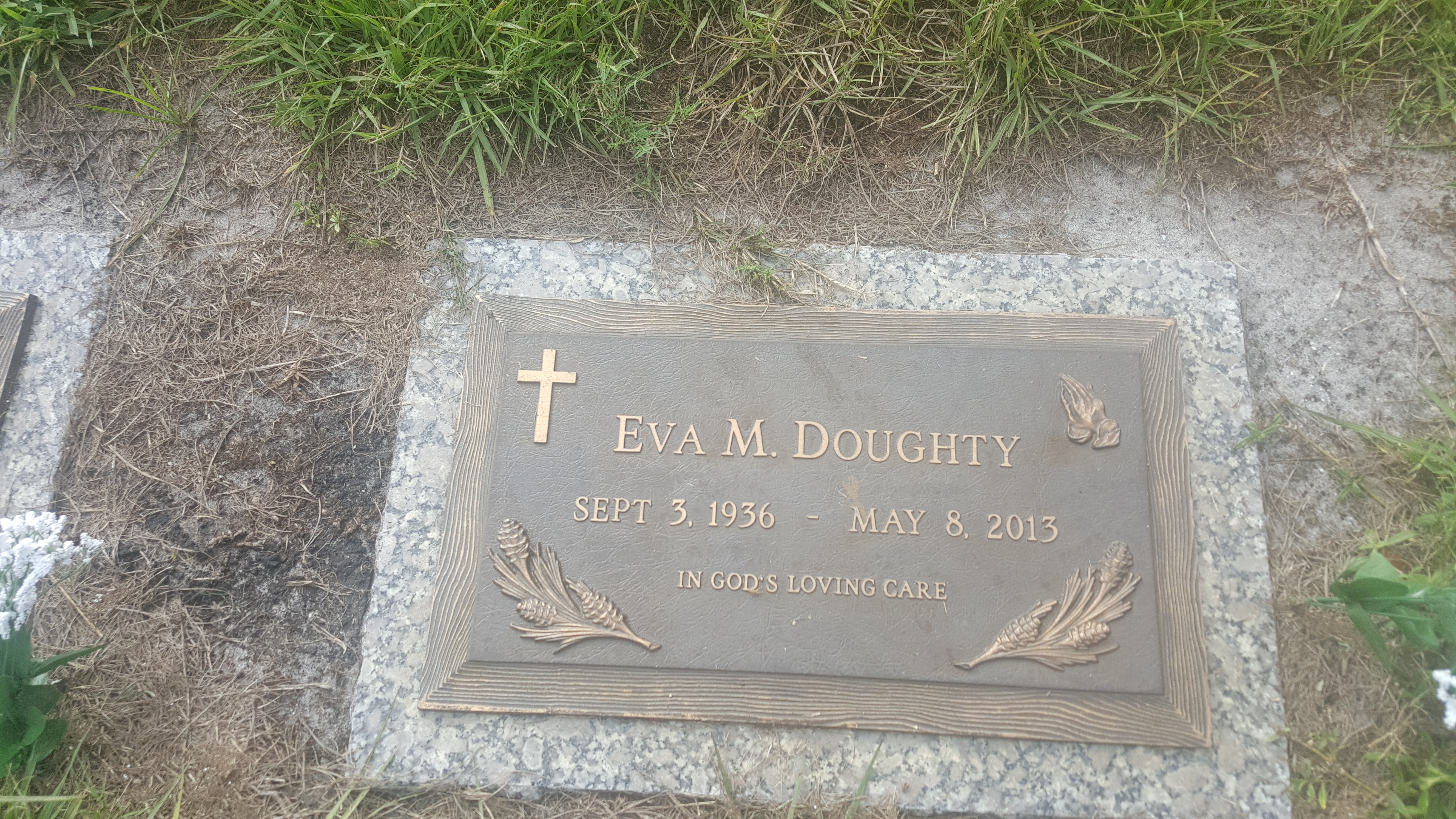 Eva M Doughty