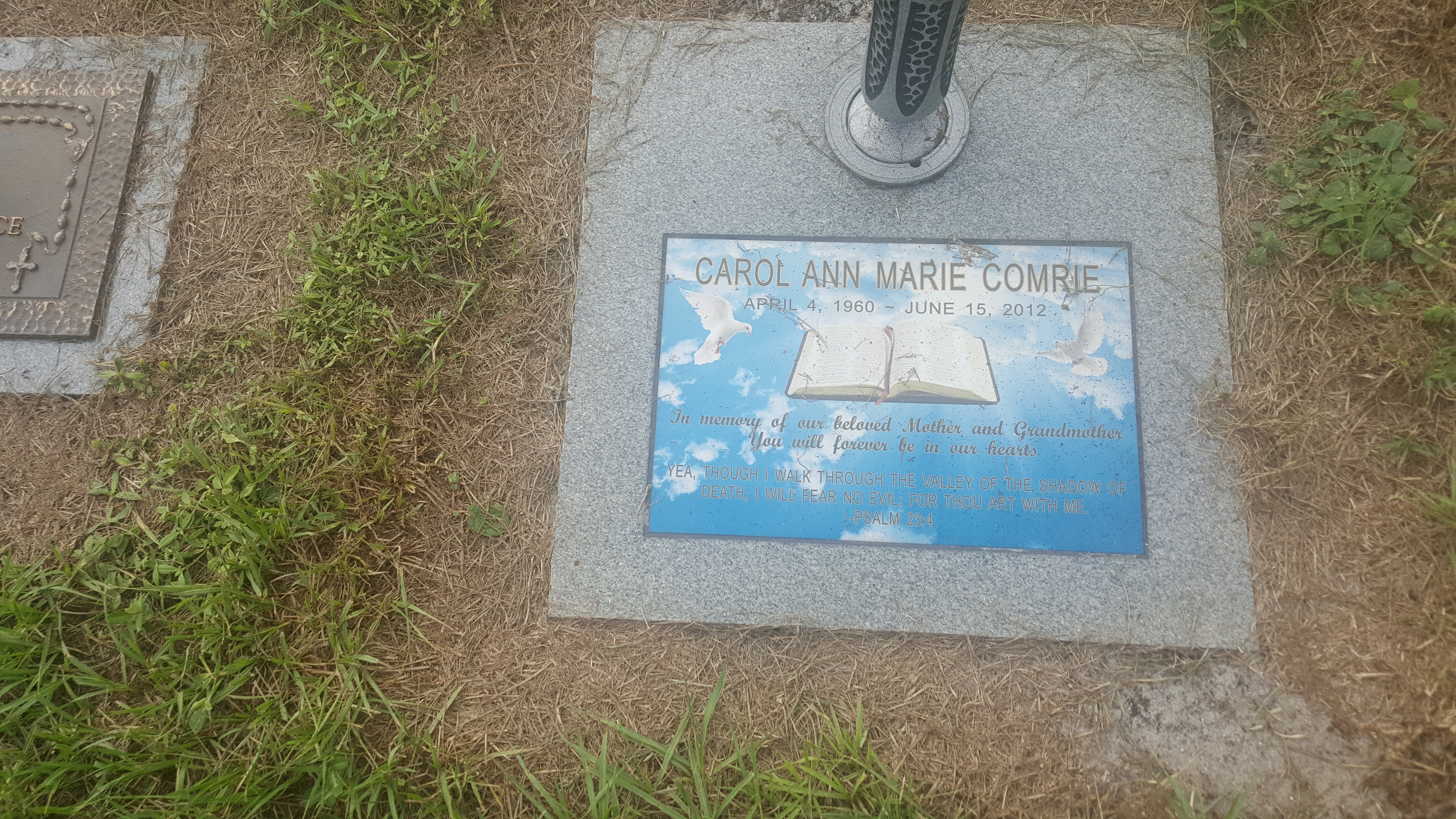 Carol Ann Marie Comrie