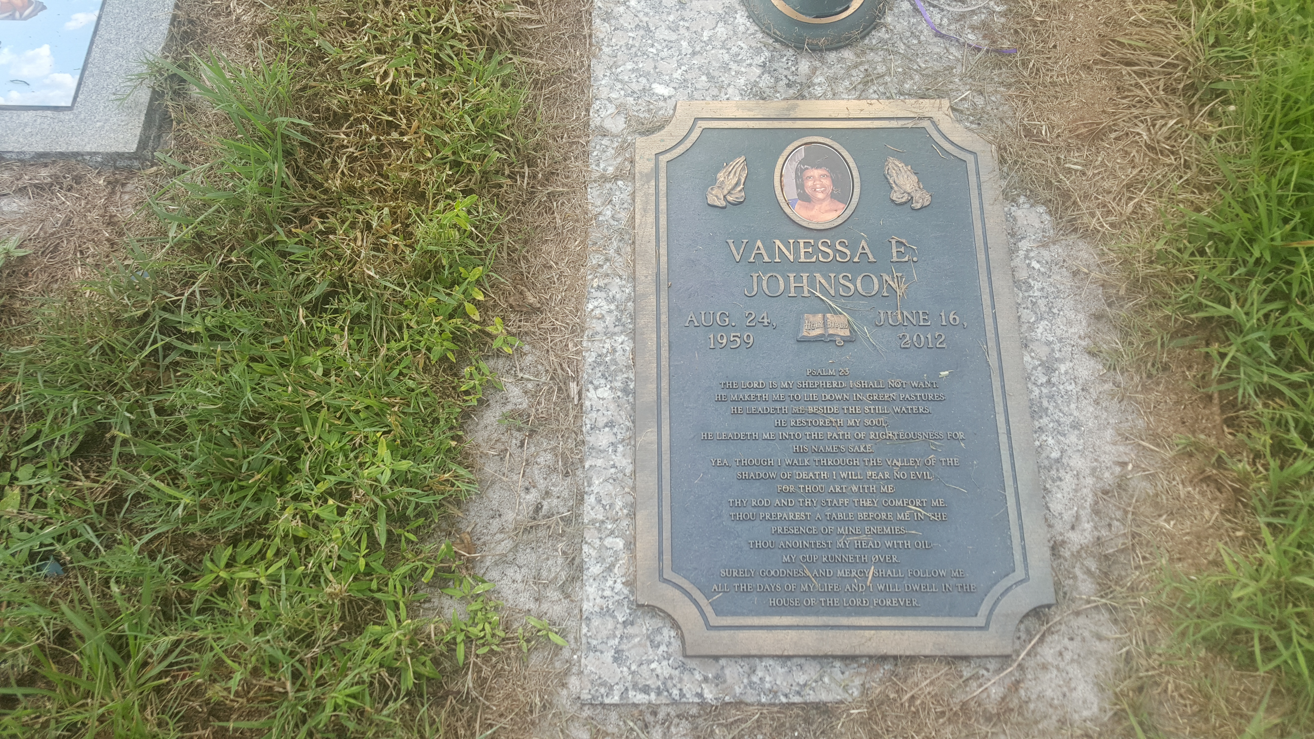 Vanessa E Johnson