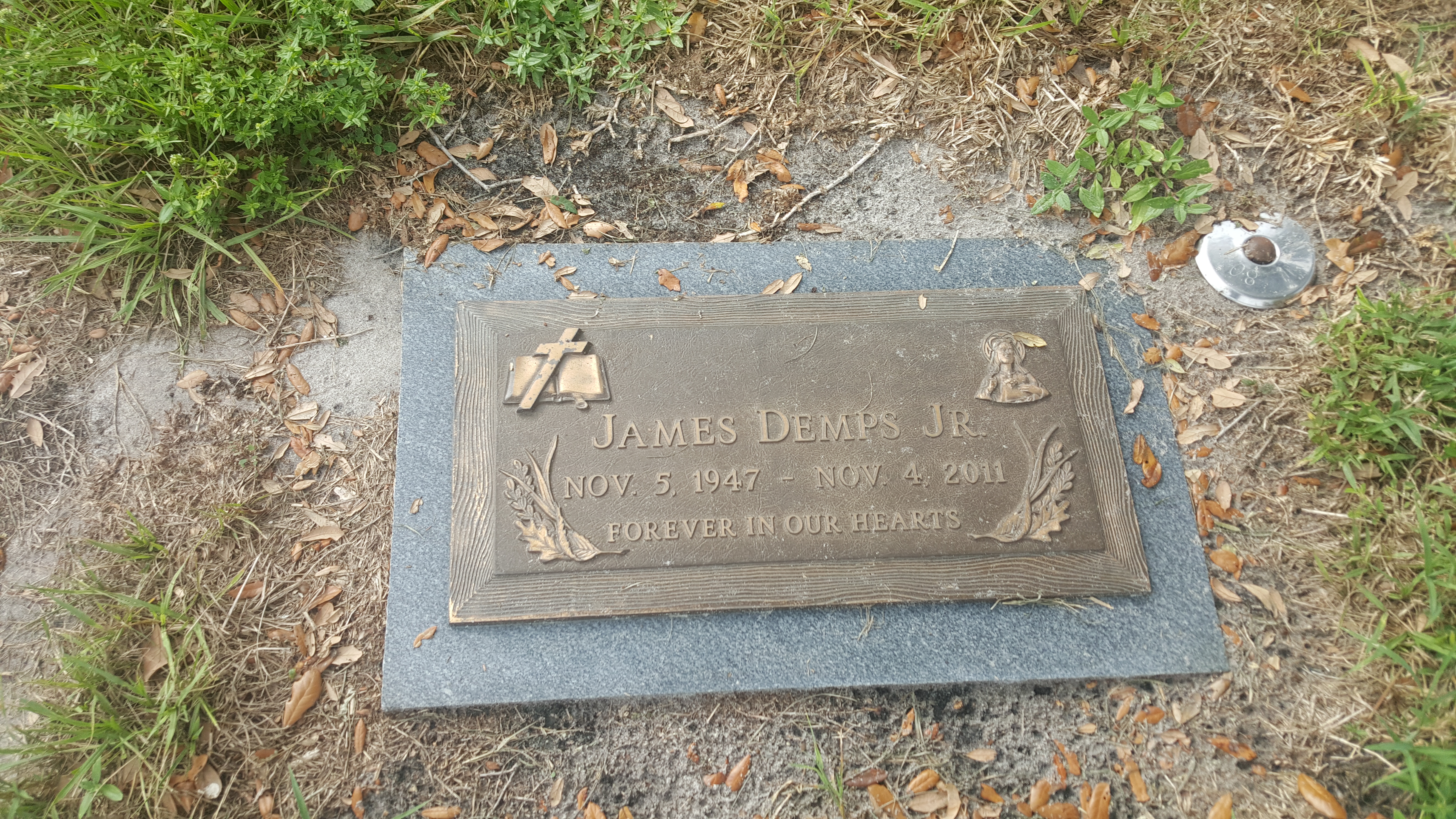 James Demps, Jr