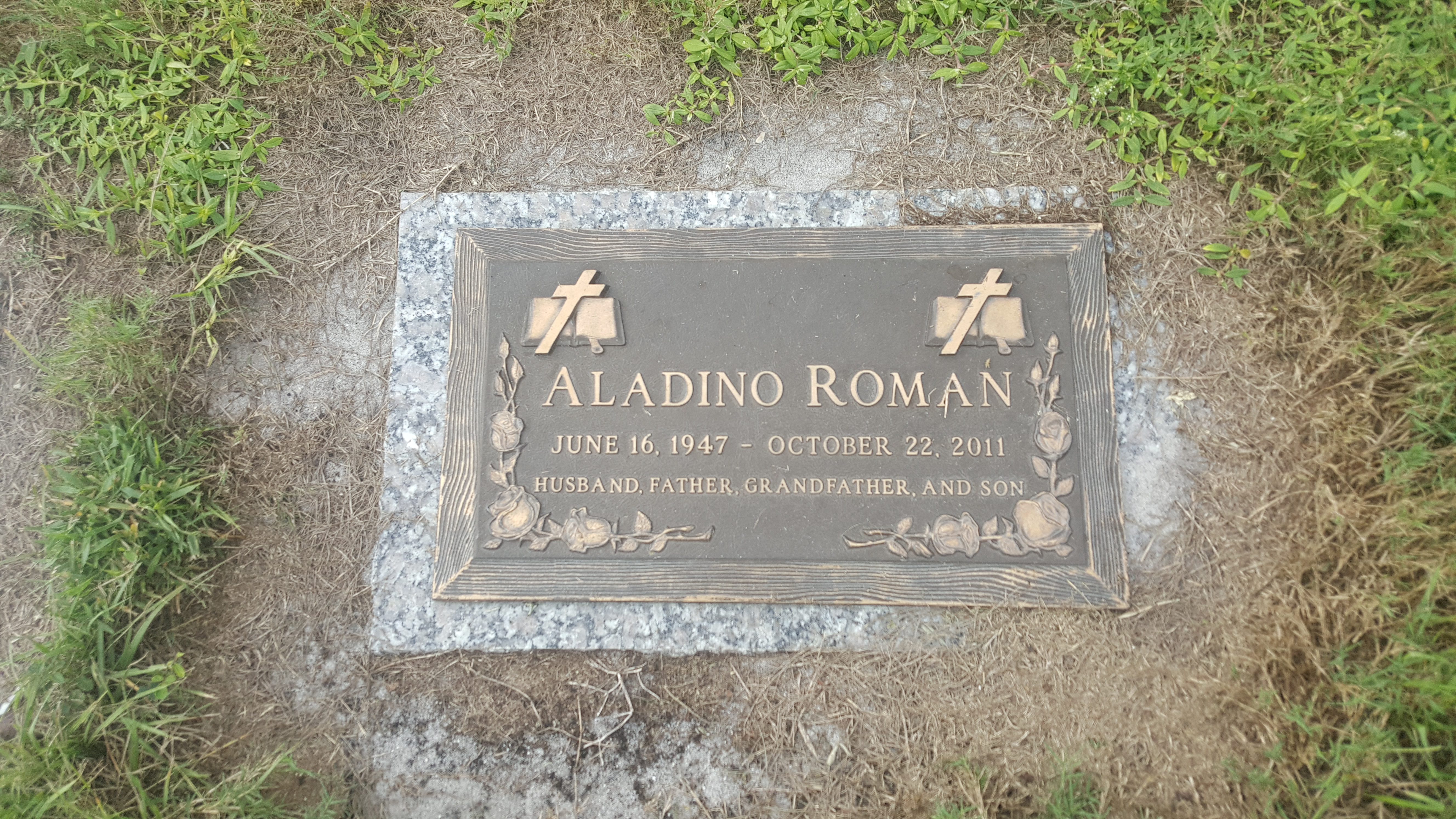 Aladino Roman