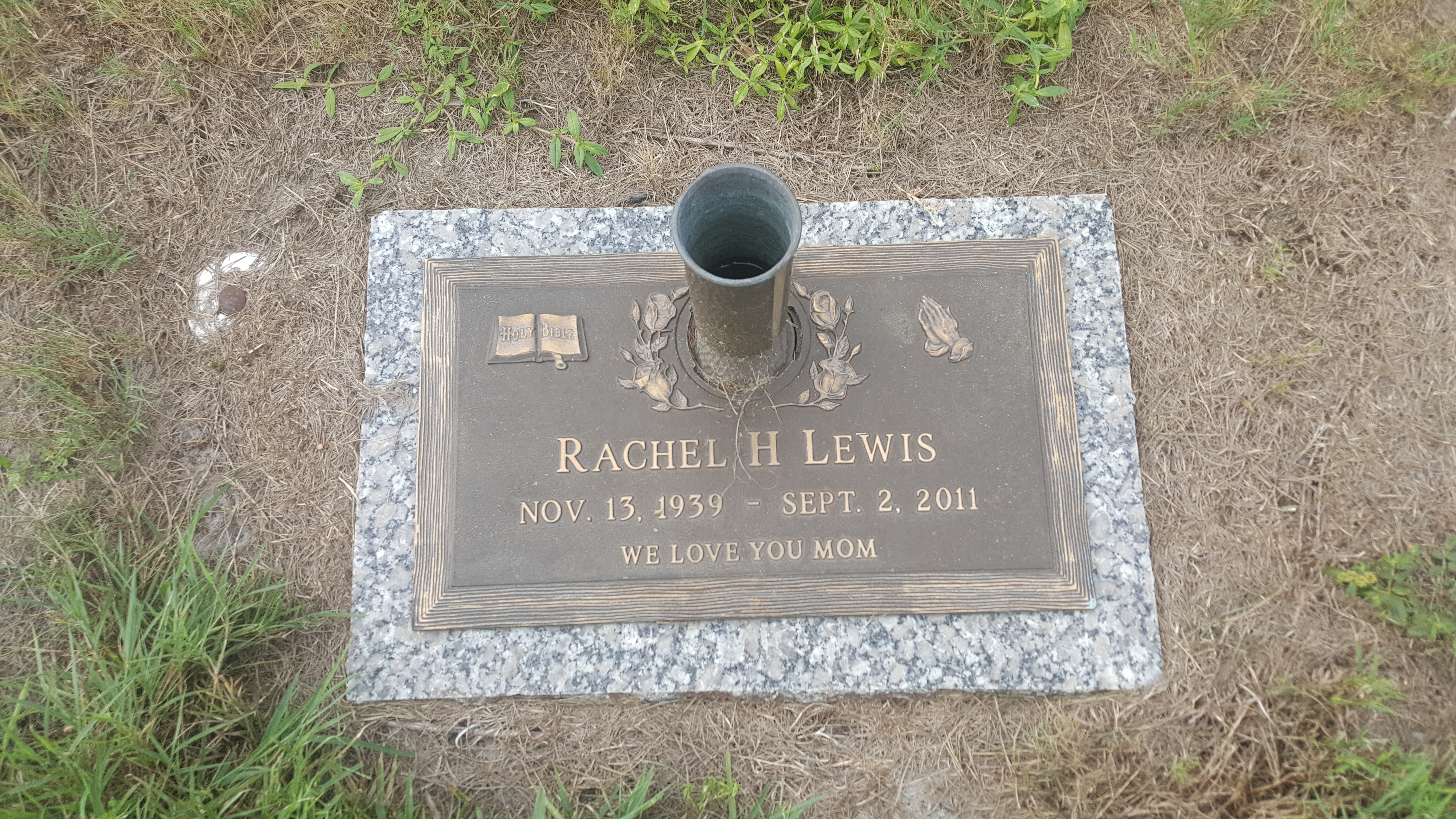 Rachel H Lewis
