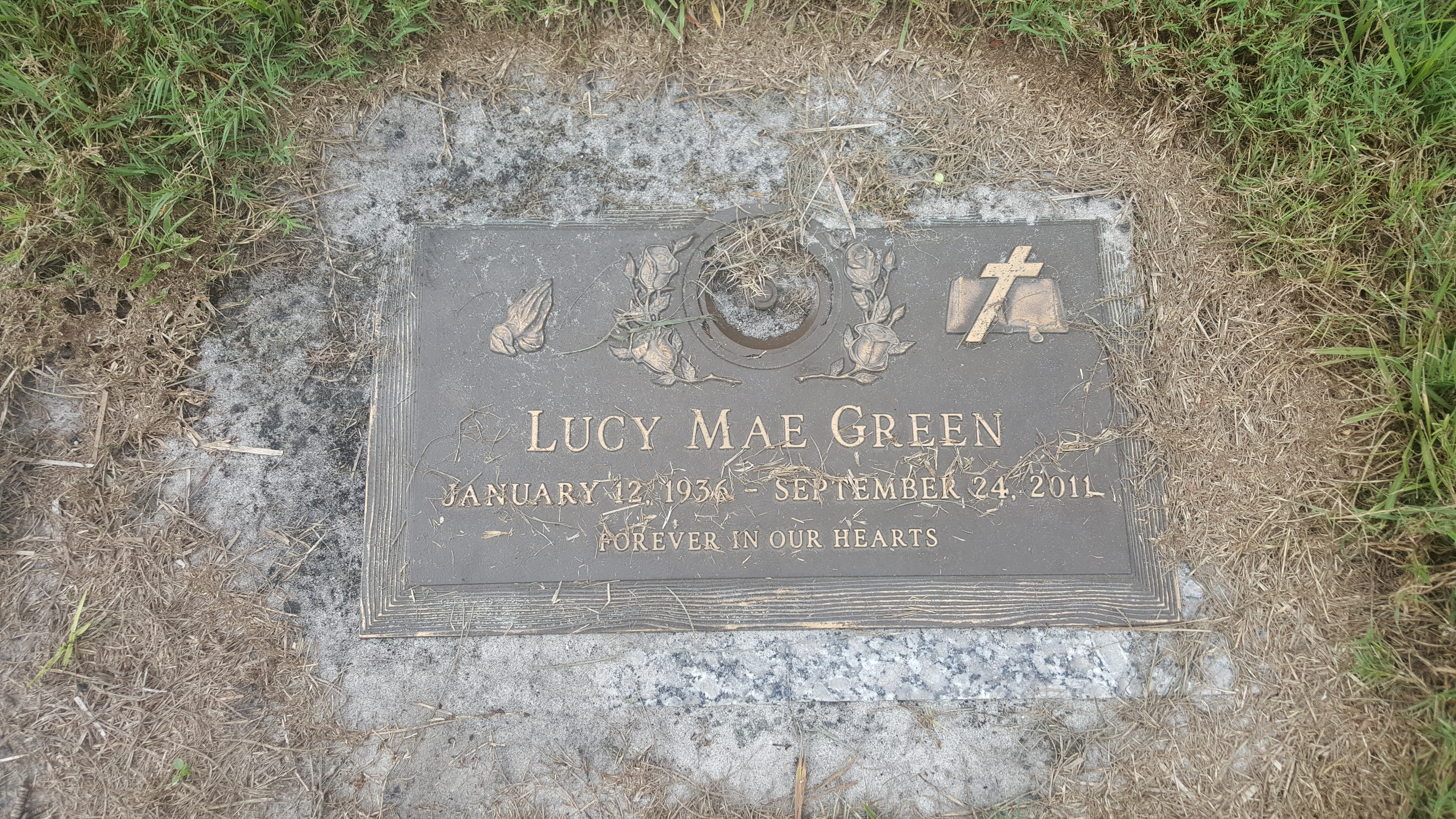 Lucy Mae Green