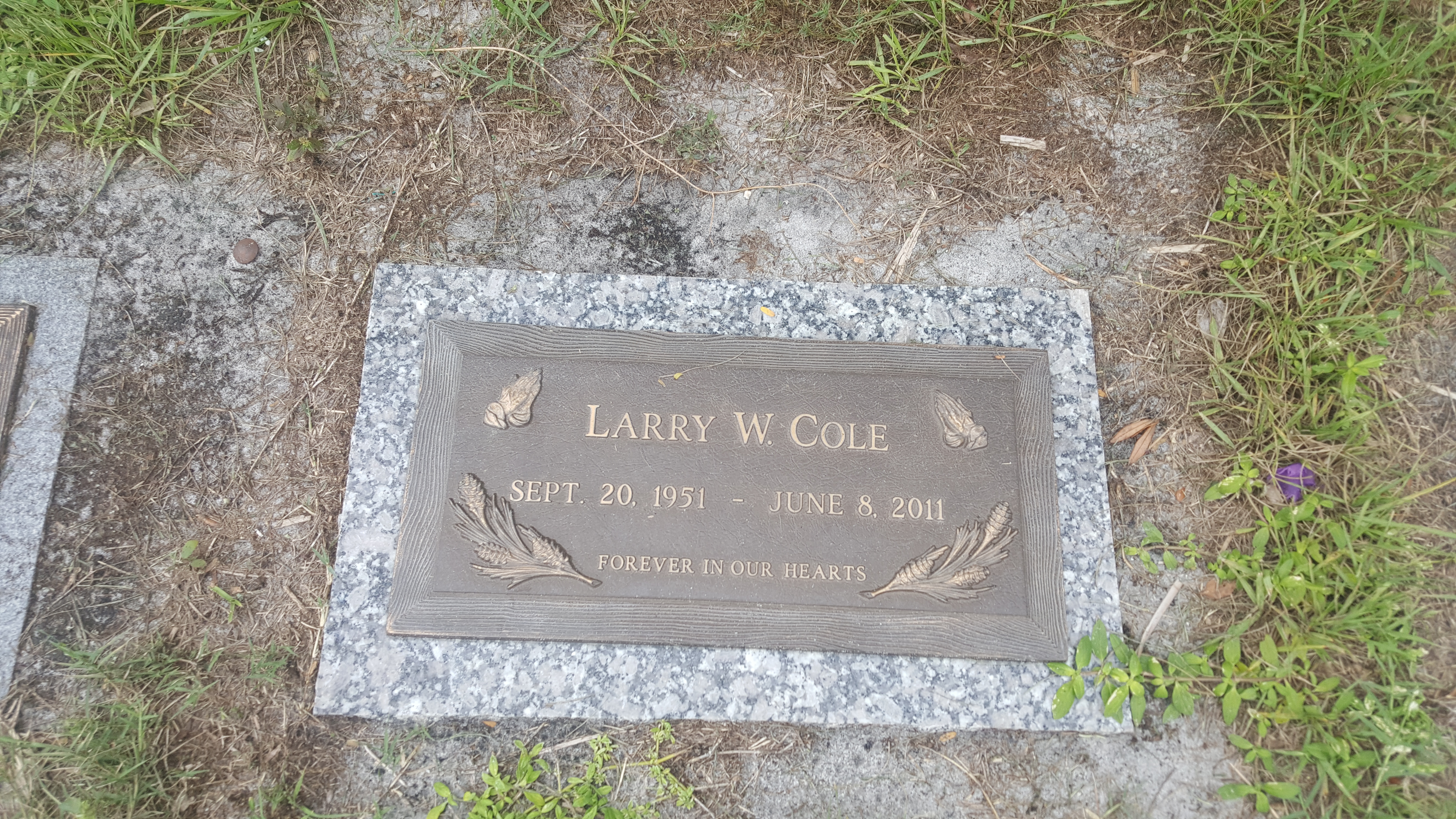 Larry W Cole