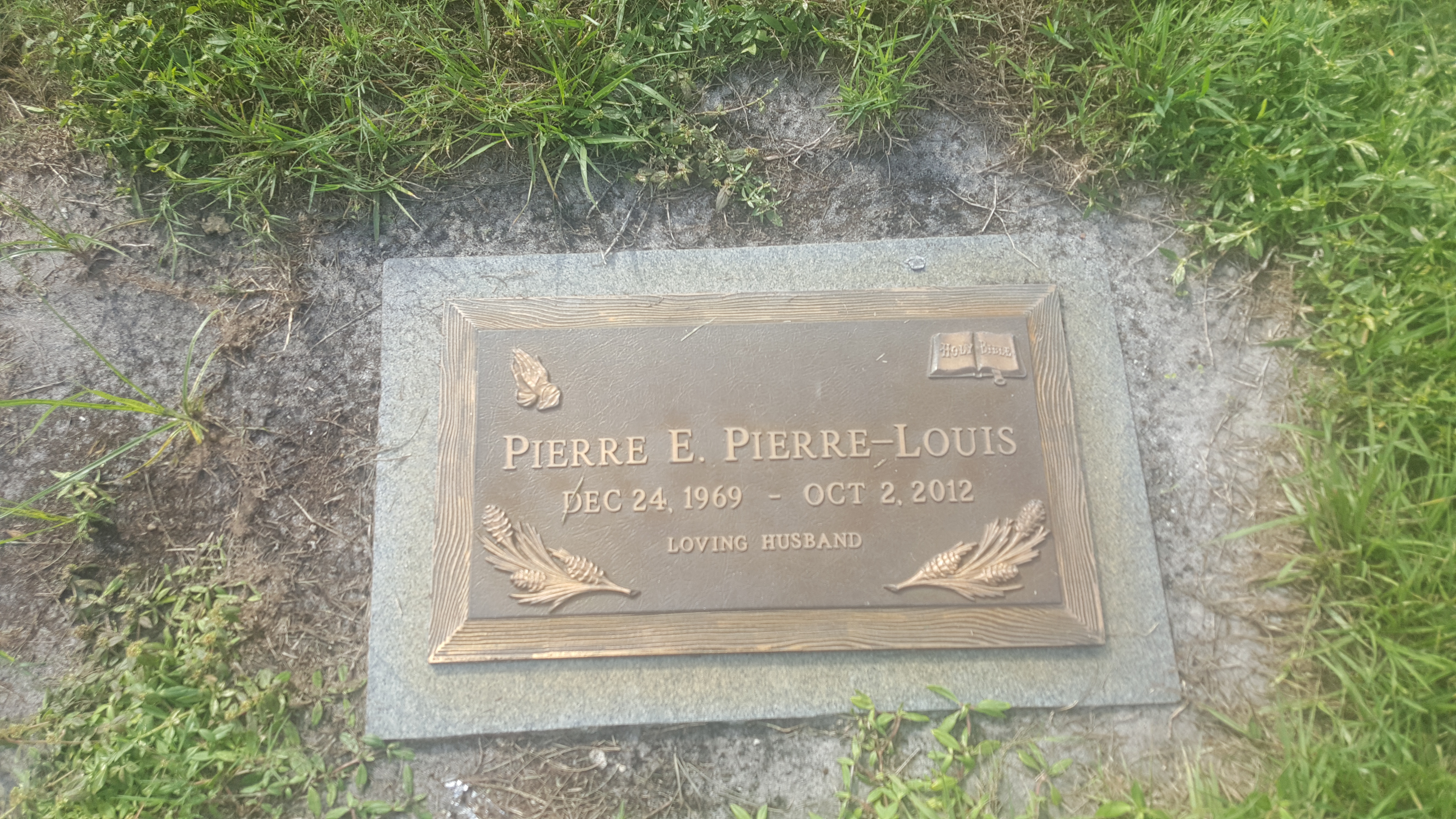 Pierre E Pierre-Louis