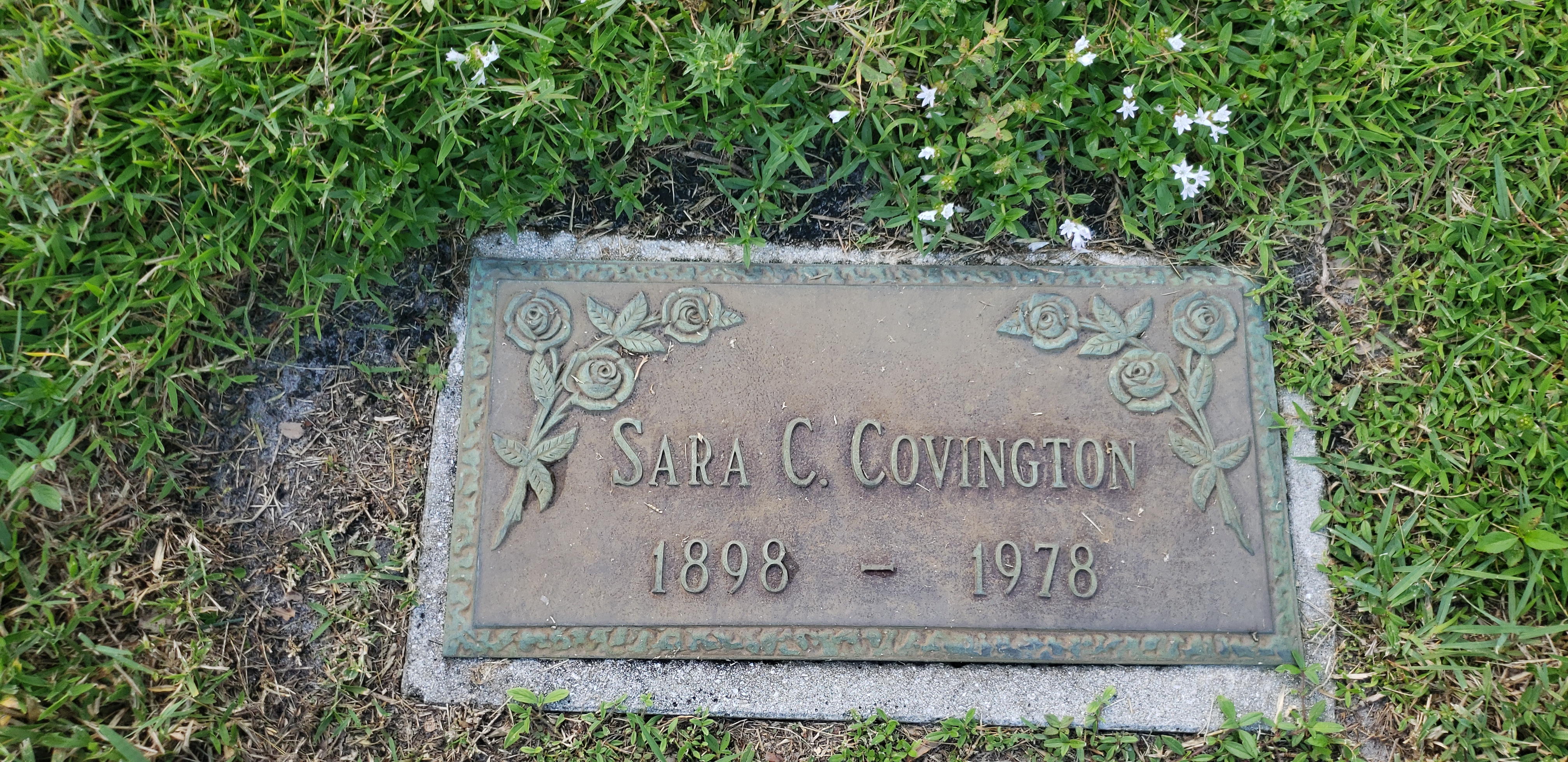 Sara C Covington