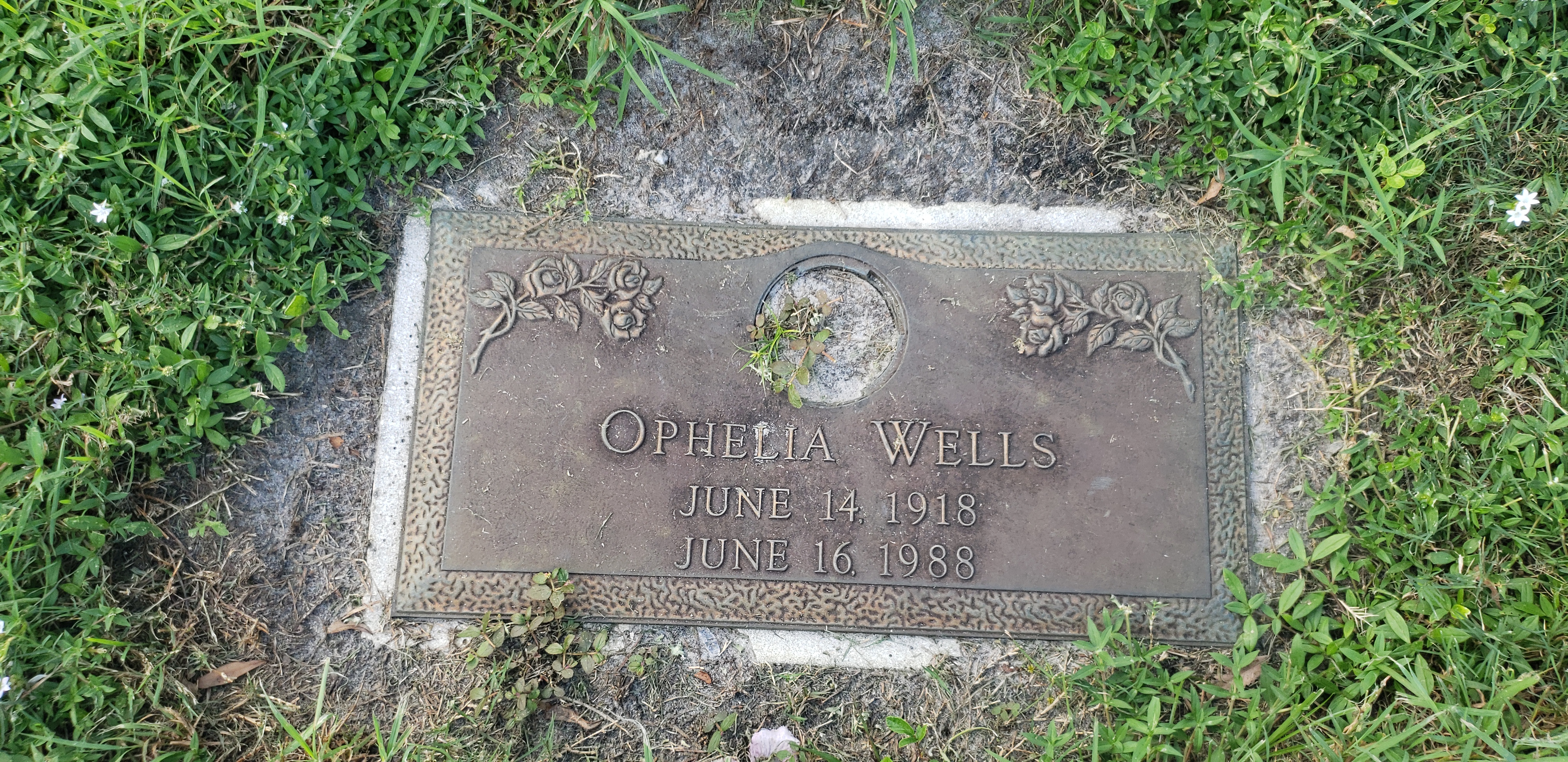 Ophelia Wells