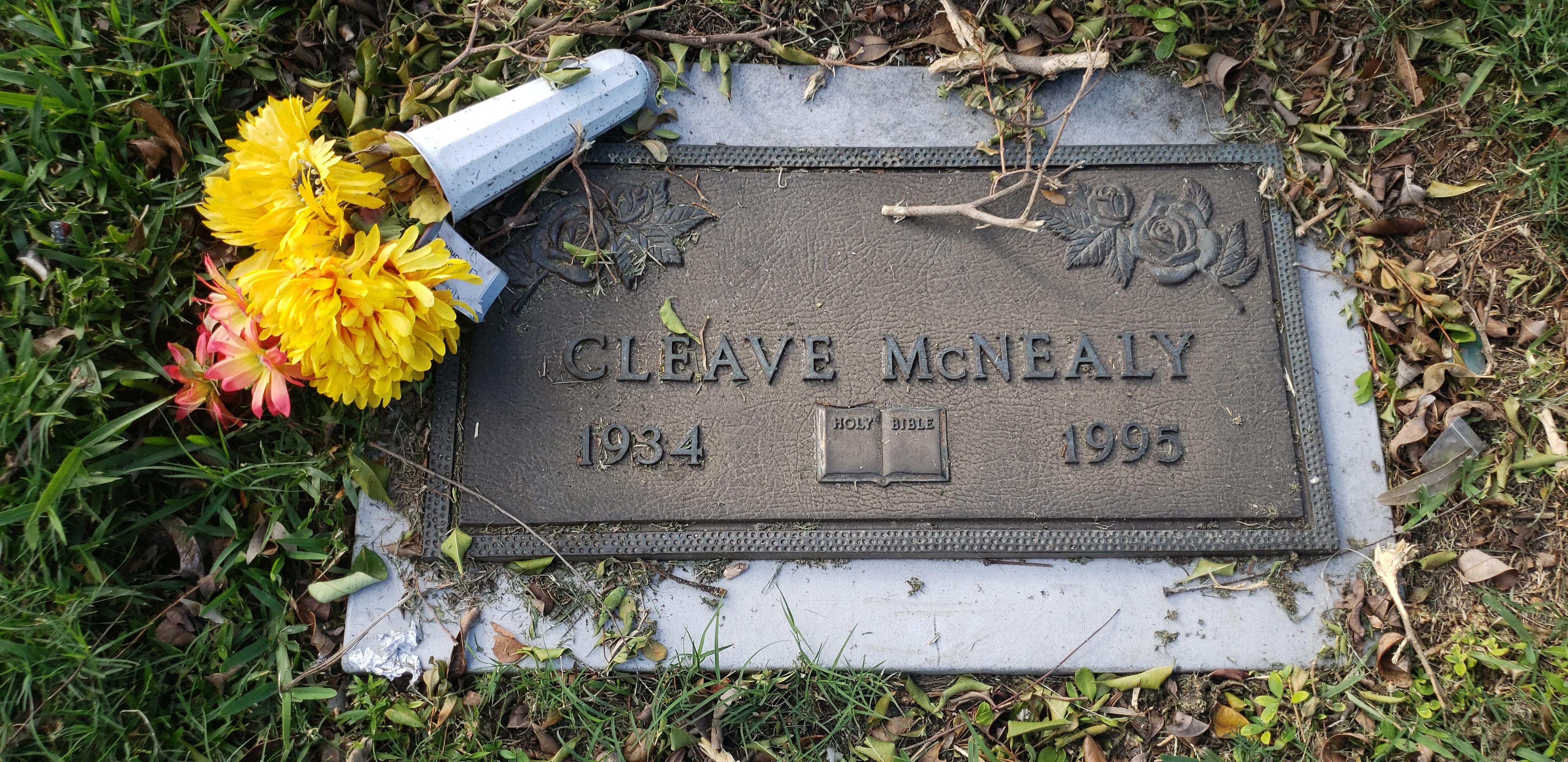 Cleave McNealy