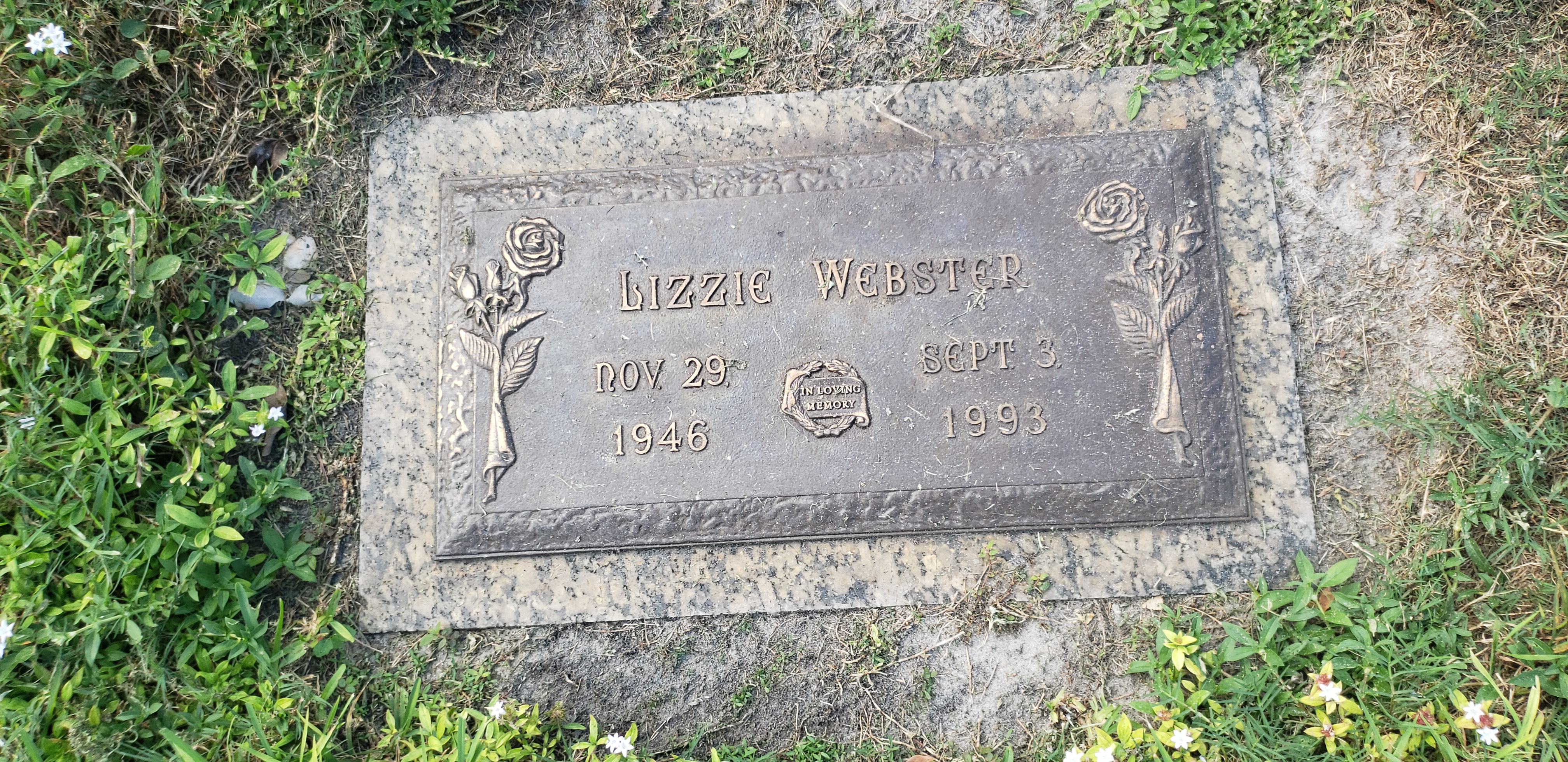 Lizzie Webster
