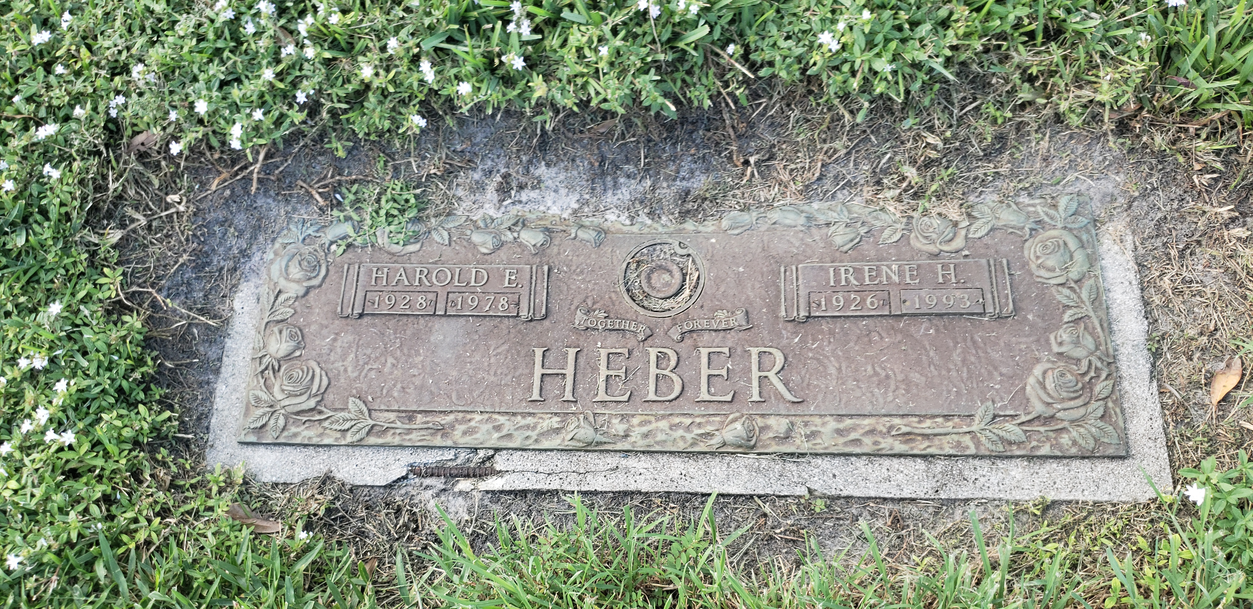 Harold E Heber