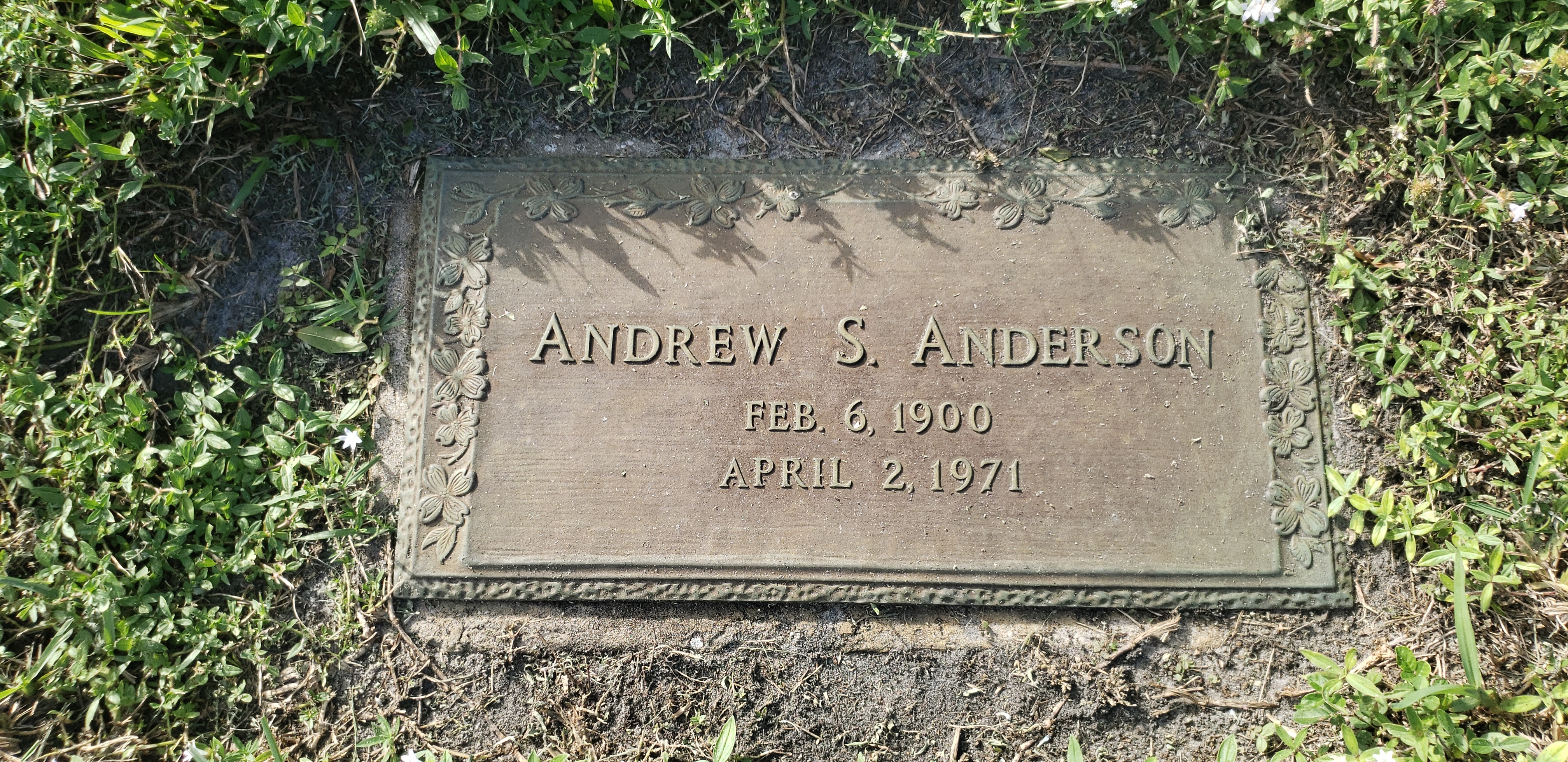 Andrew S Anderson
