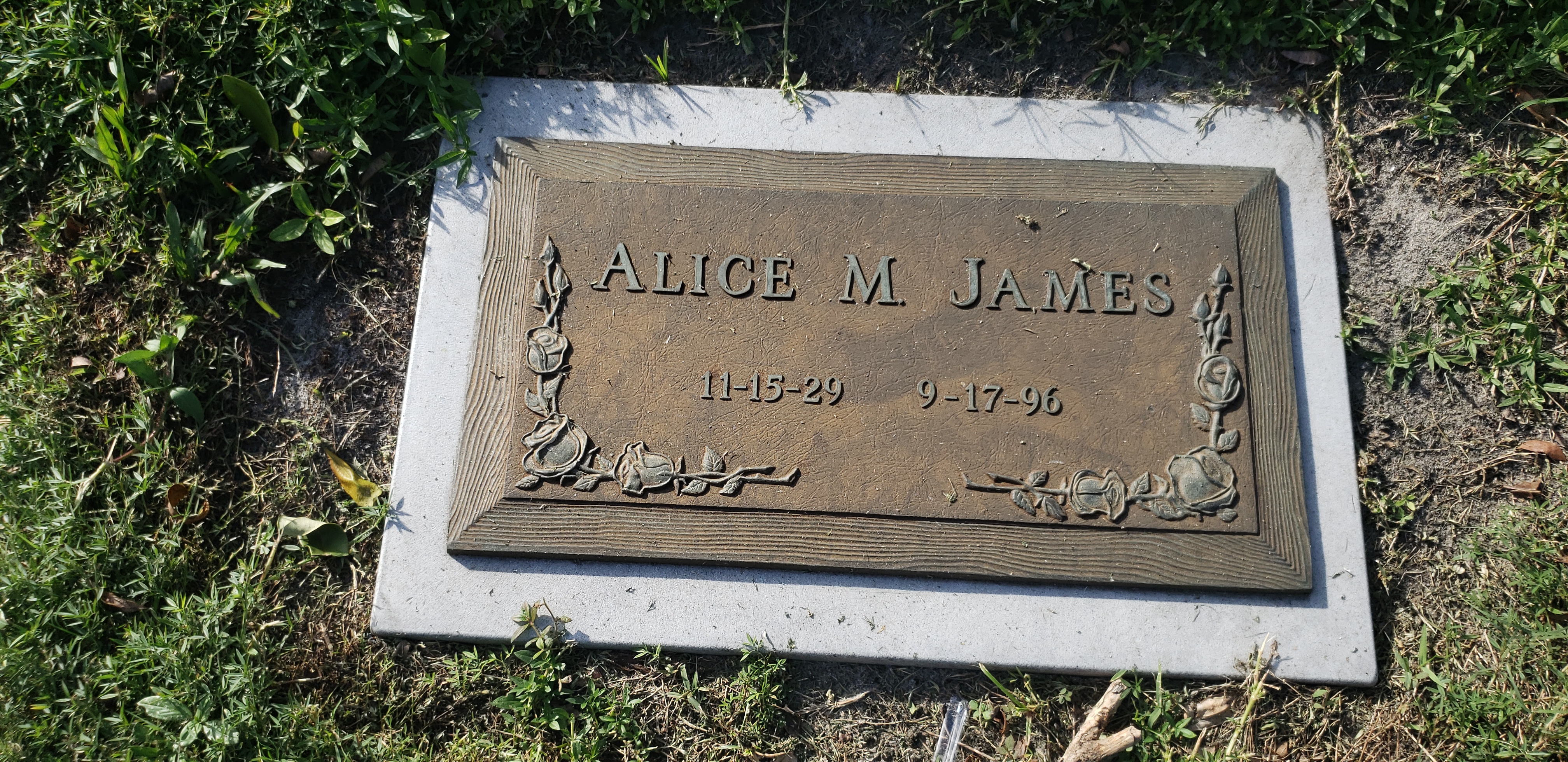 Alice M James