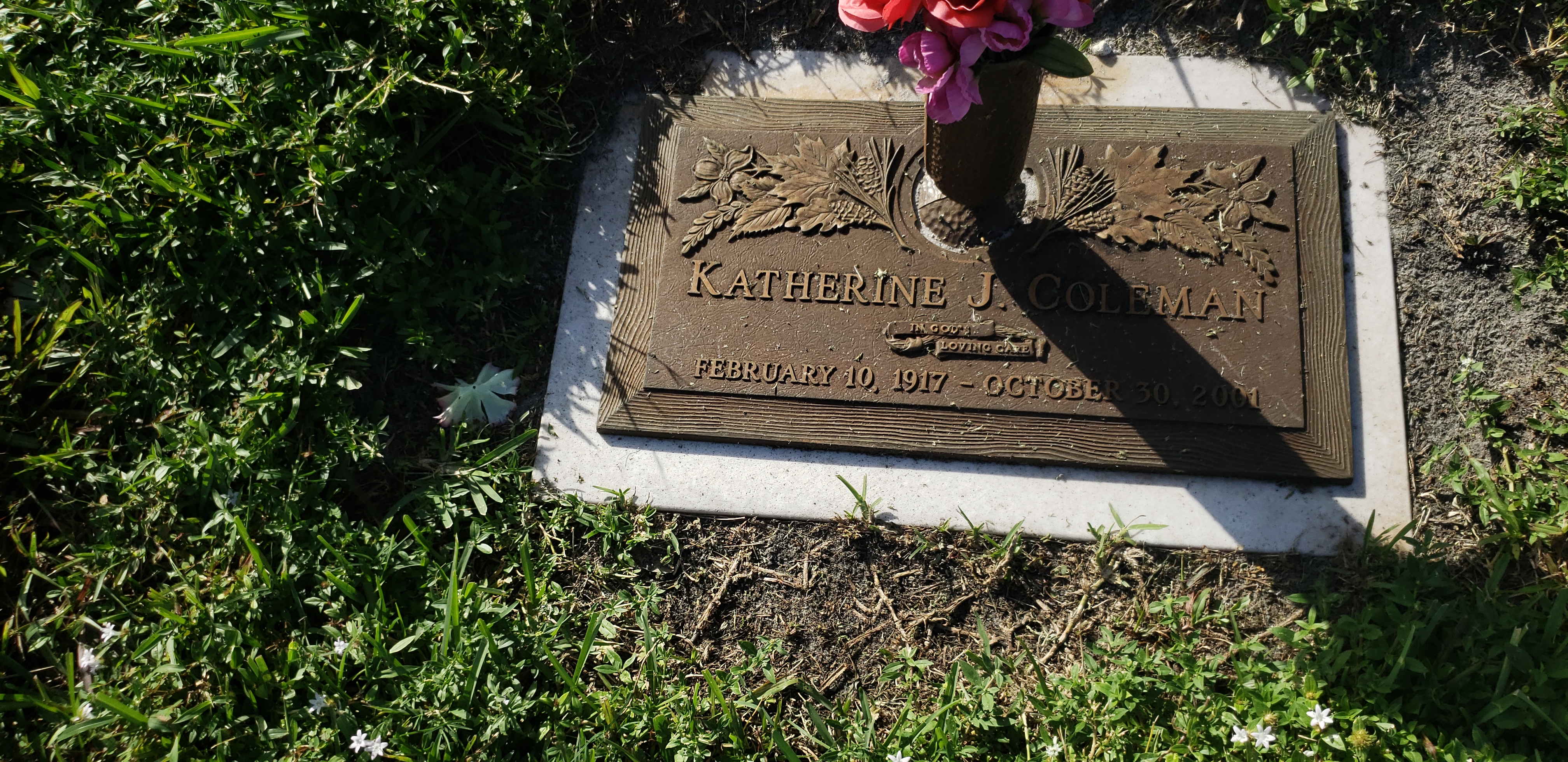 Katherine J Coleman