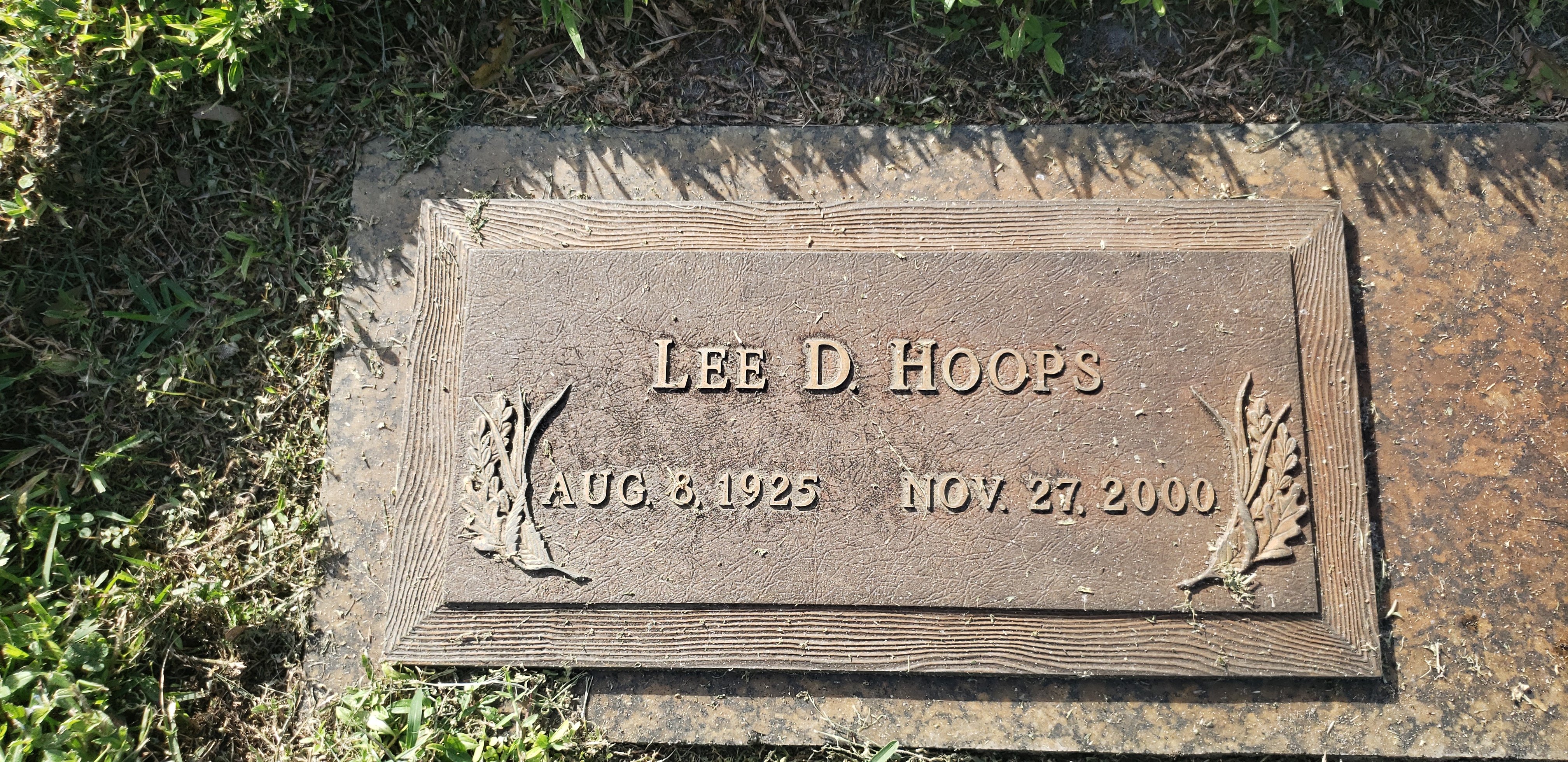 Lee D Hoops