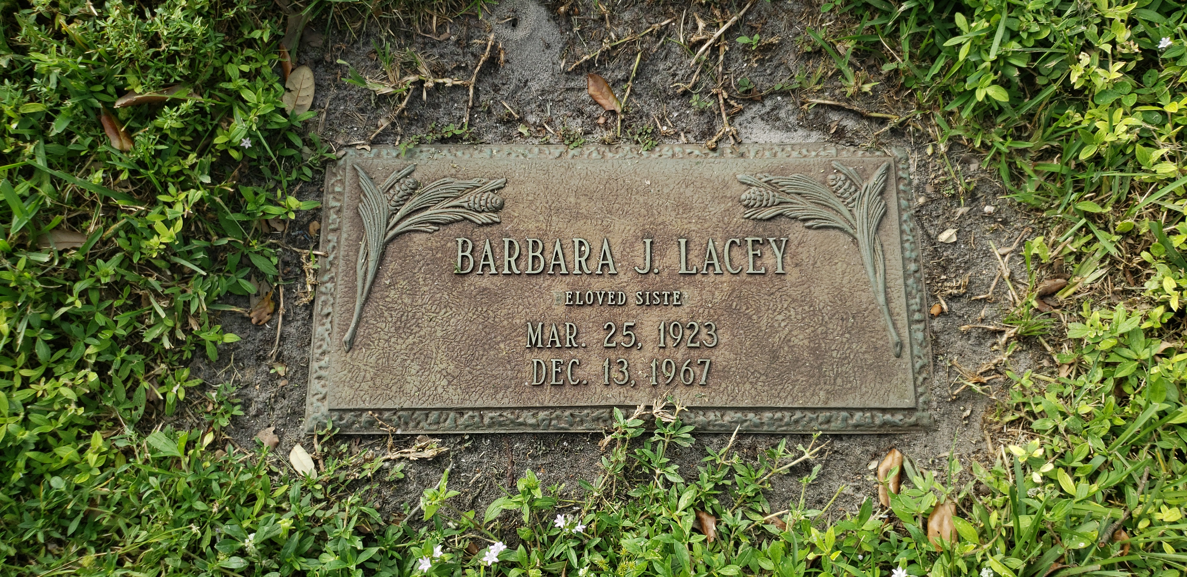Barbara J Lacey