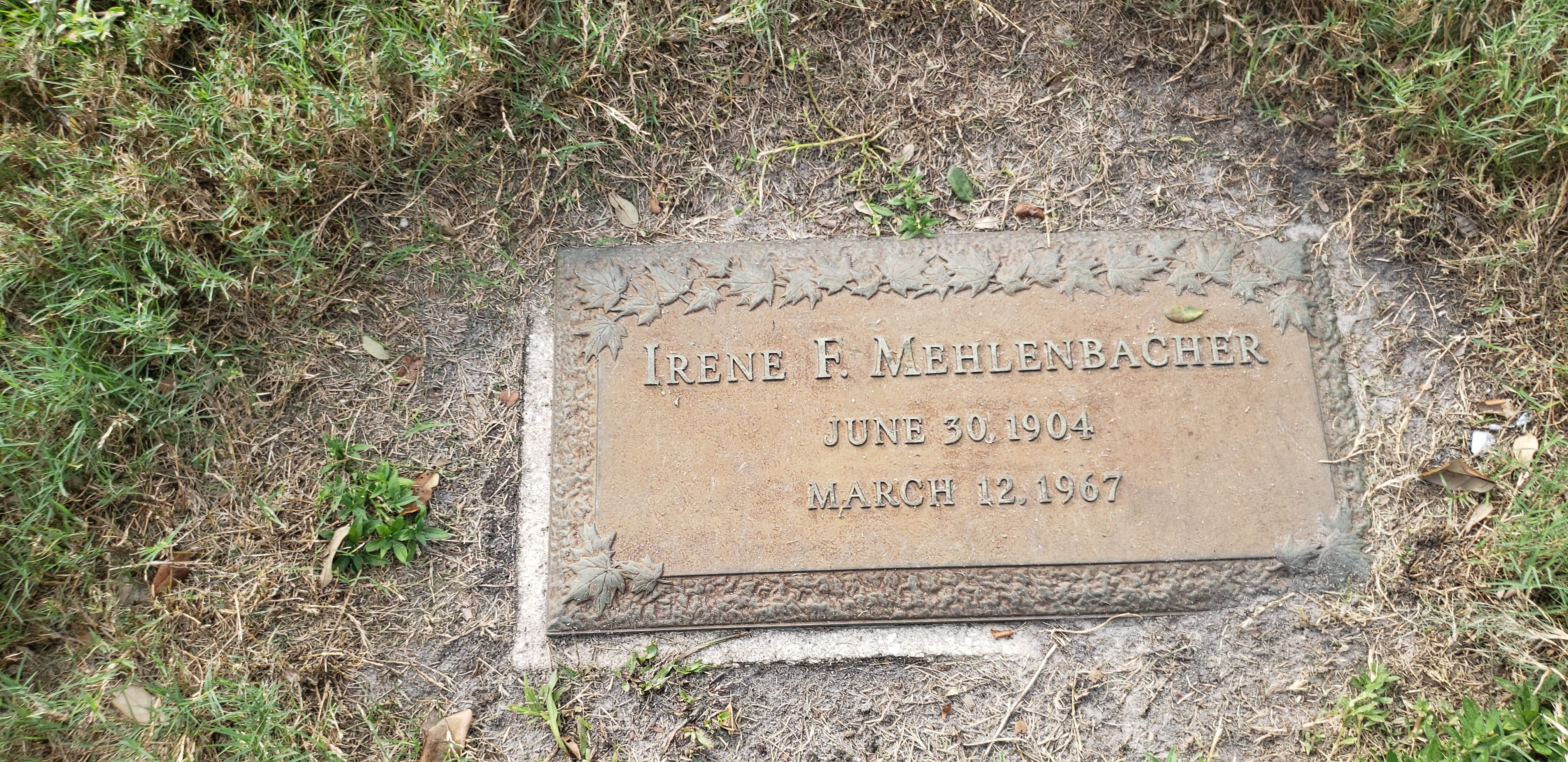 Irene F Mehlenbacher