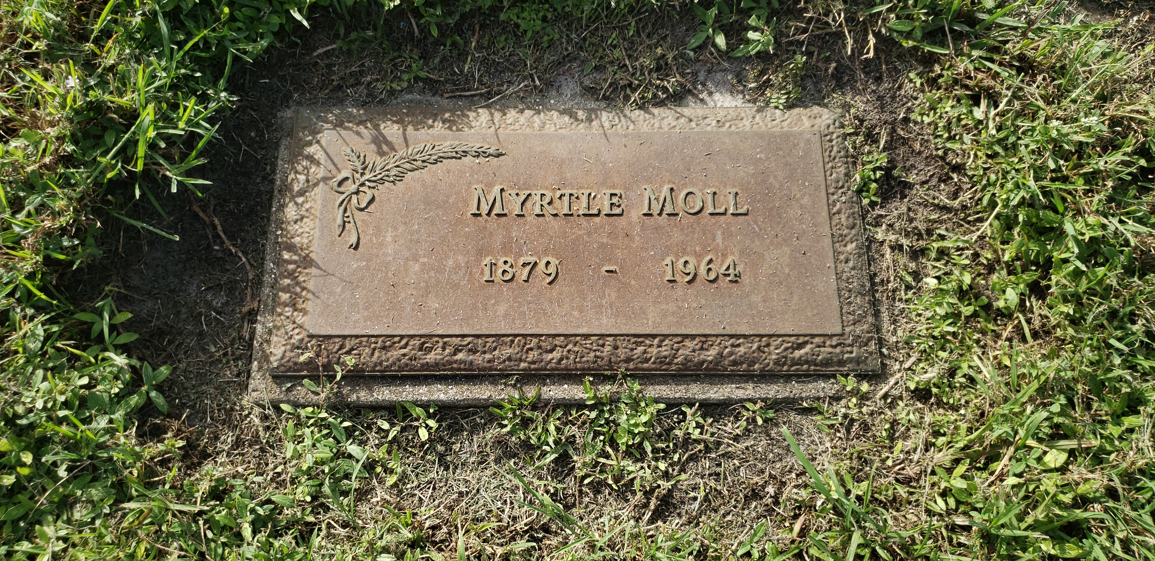 Myrtle Moll