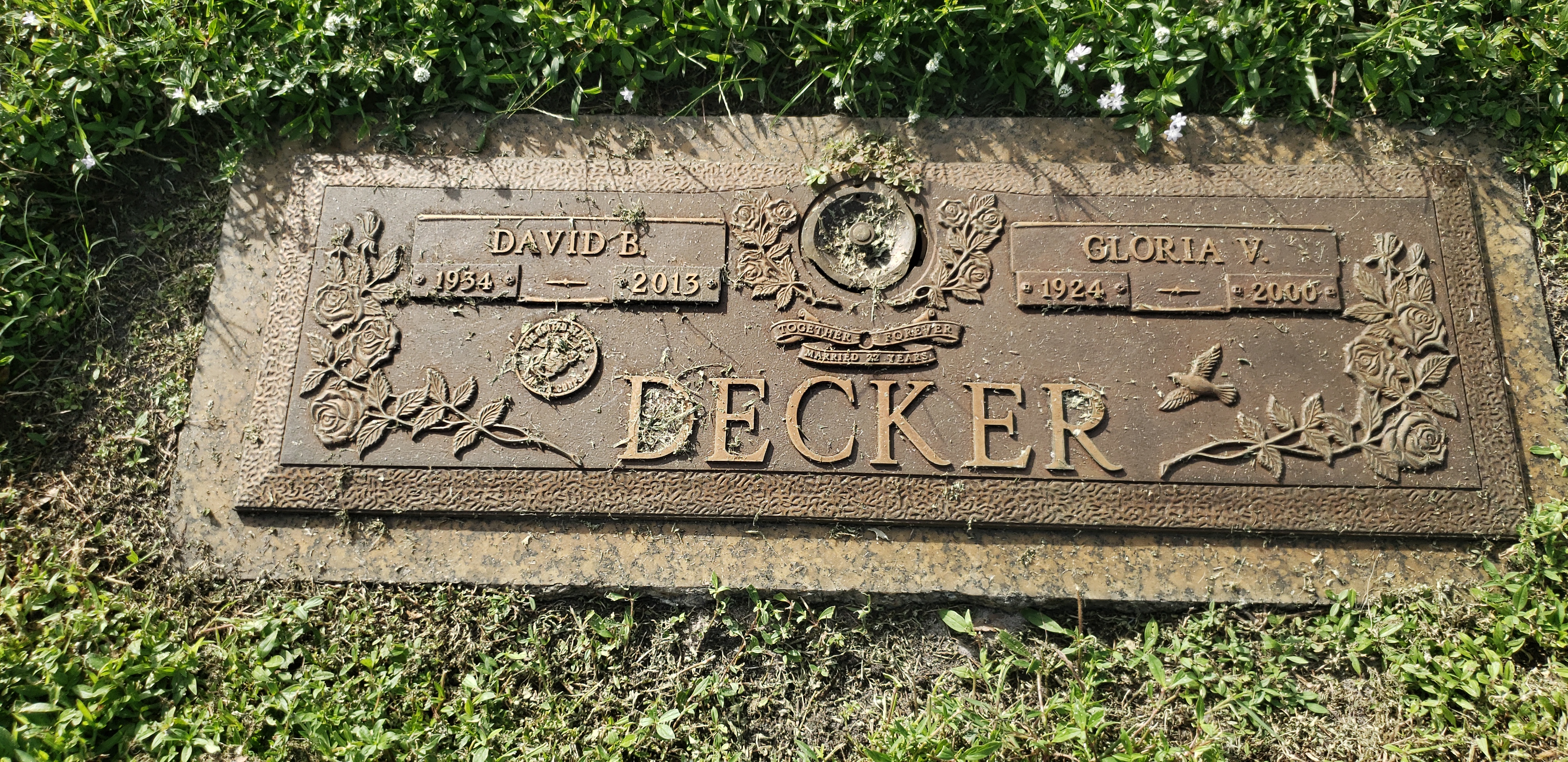 David B Decker