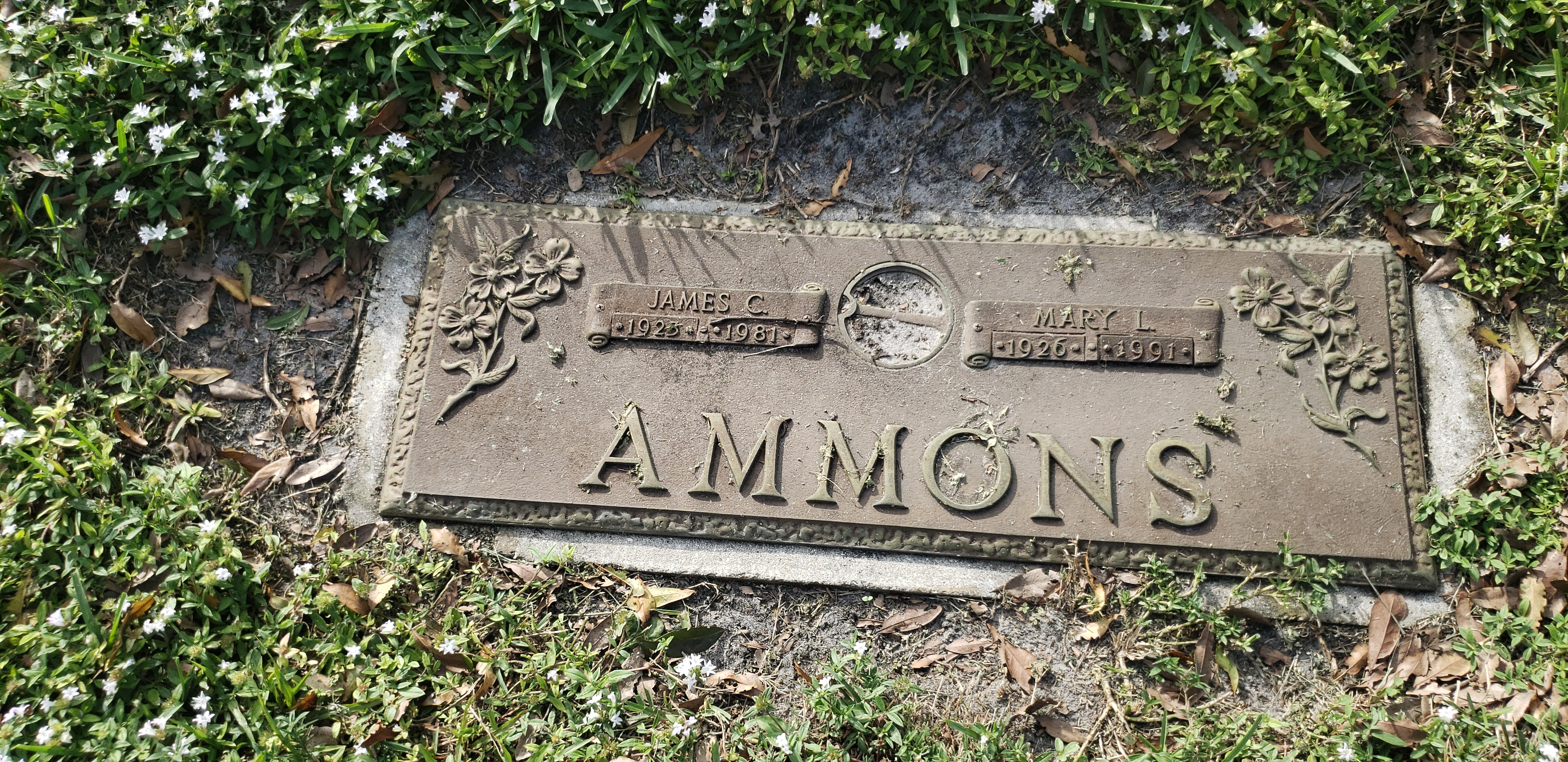 James C Ammons