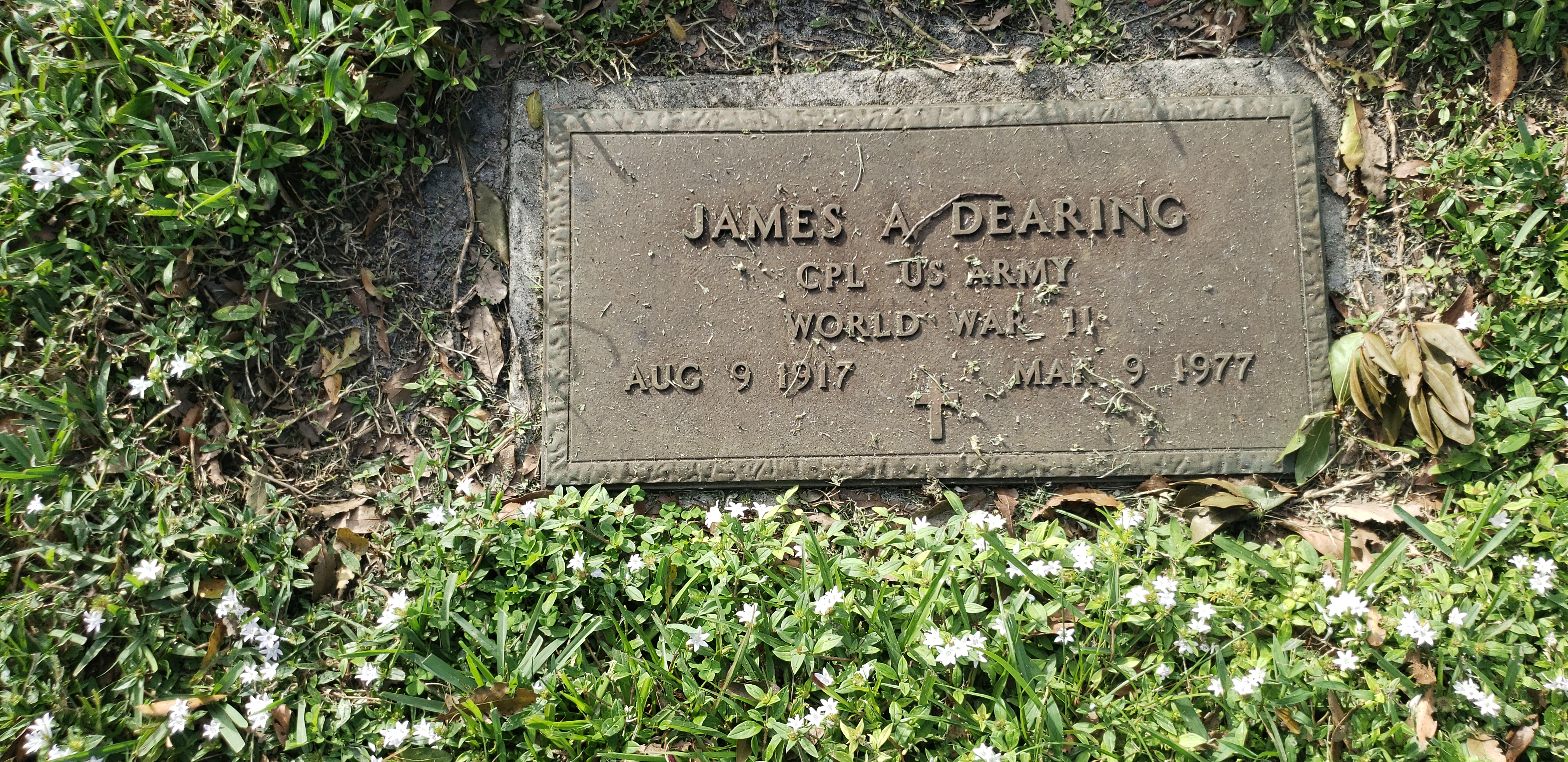 James A Dearing