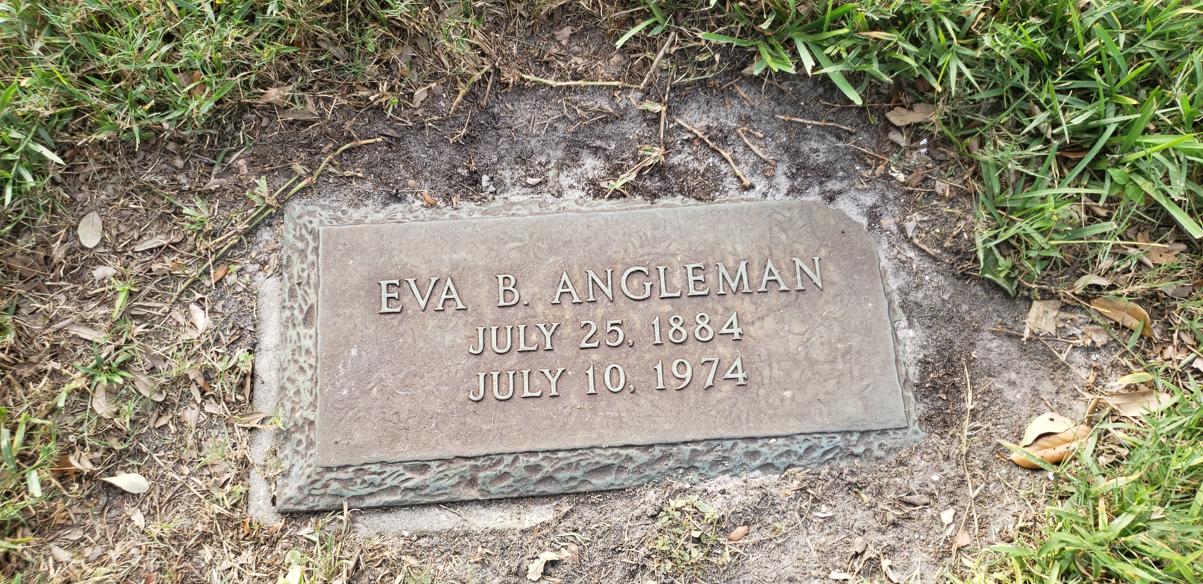 Eva B Angleman