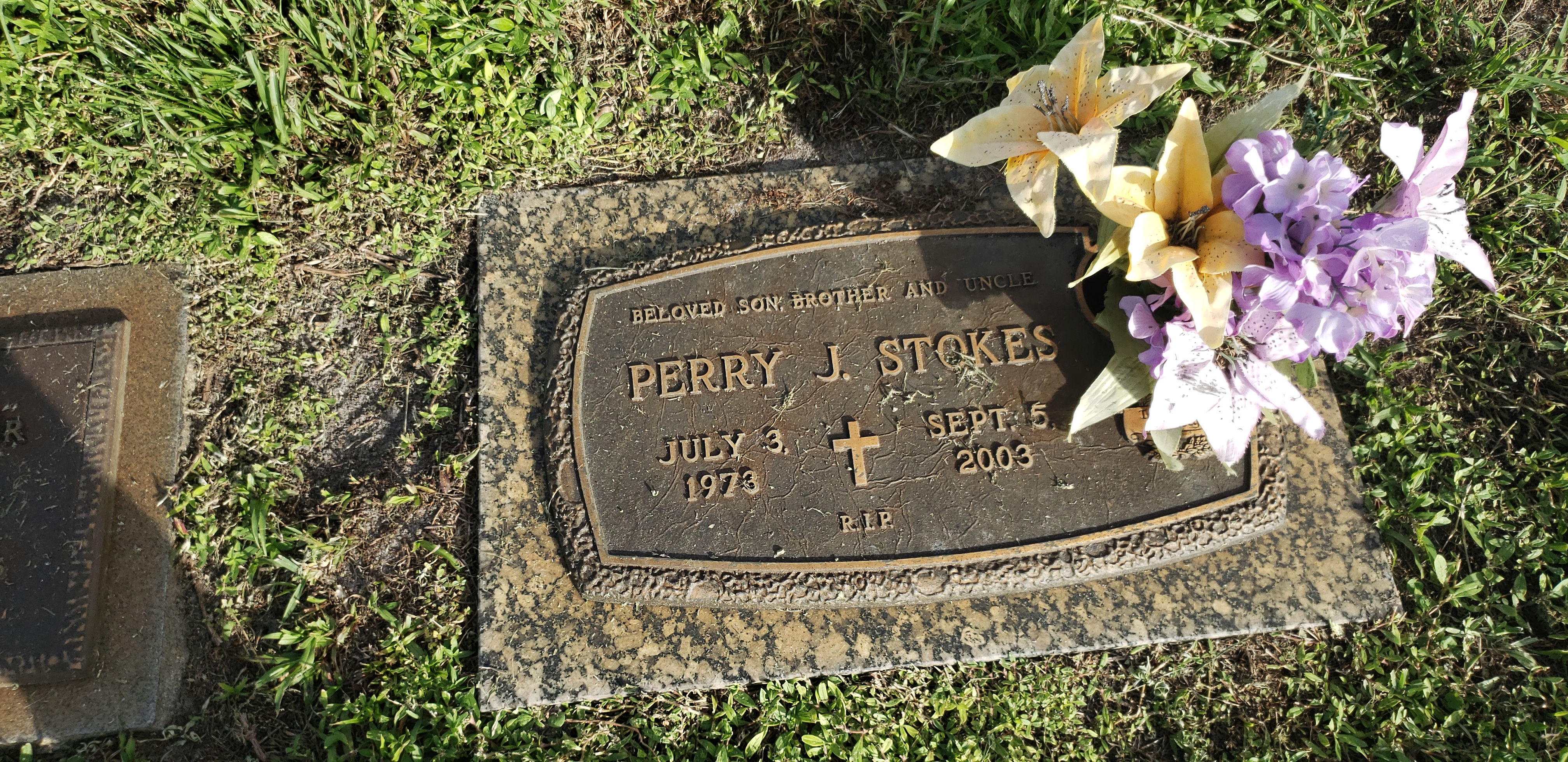 Perry J Stokes
