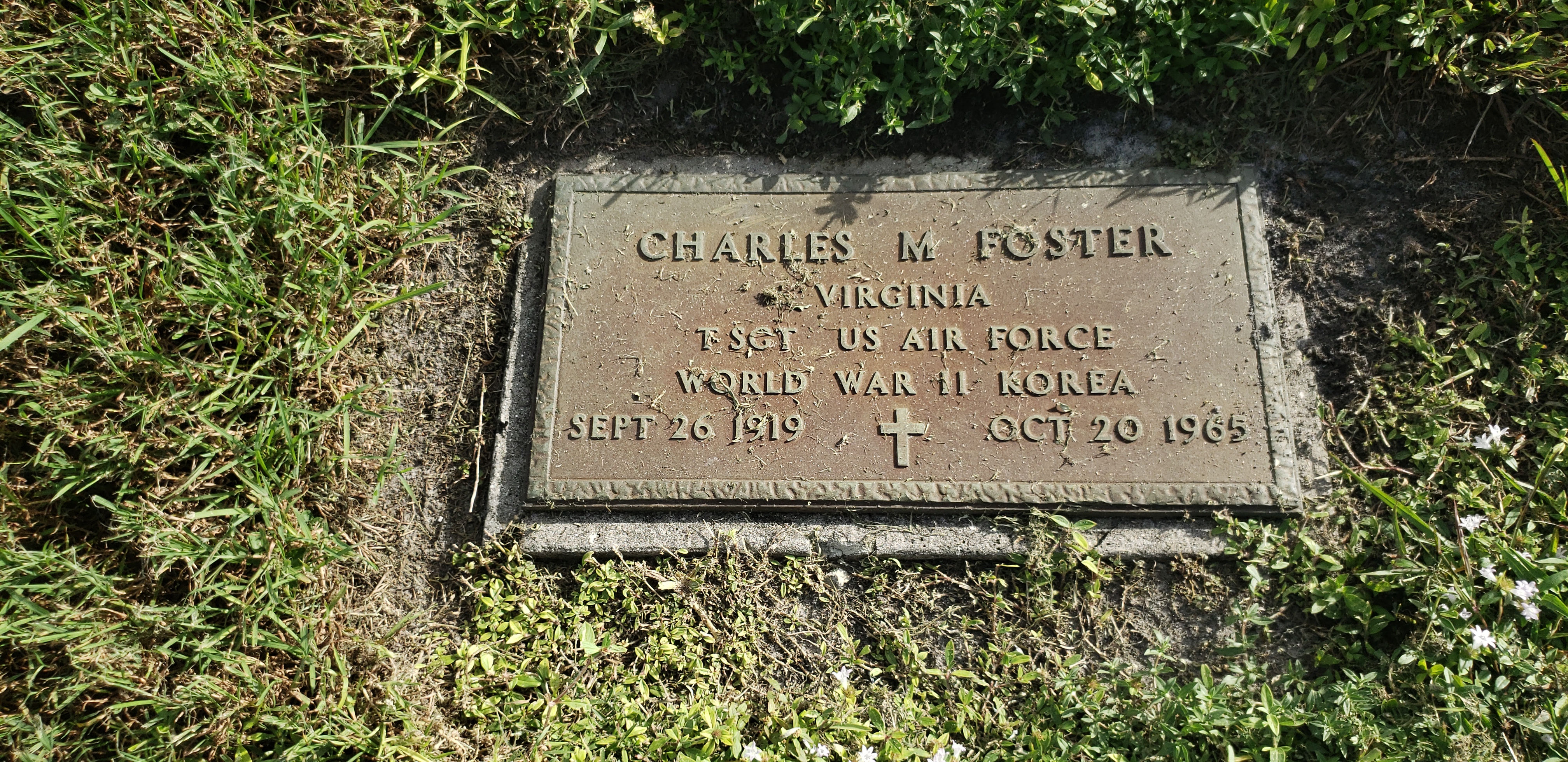 Charles M Foster