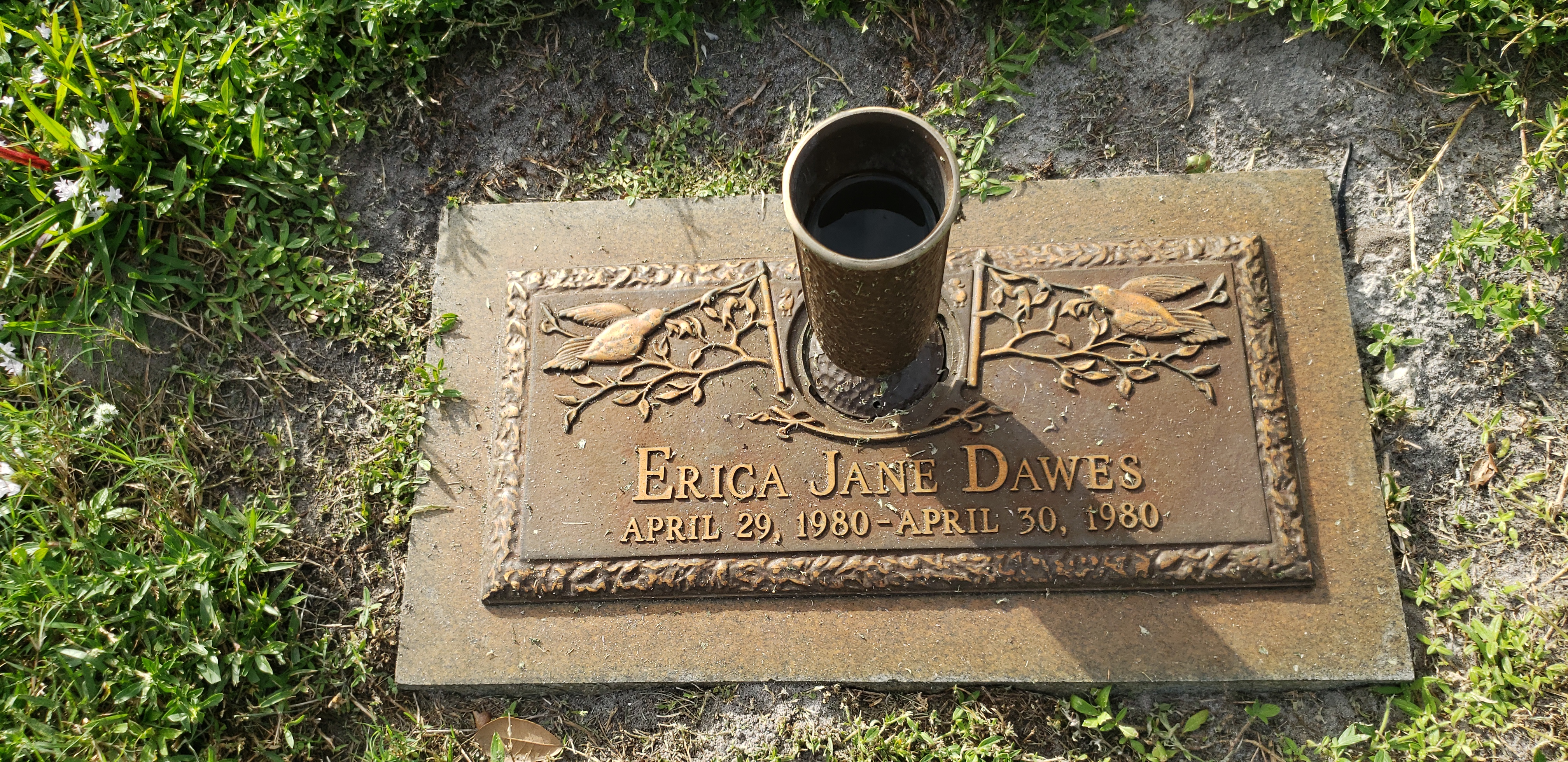 Erica Jane Dawes