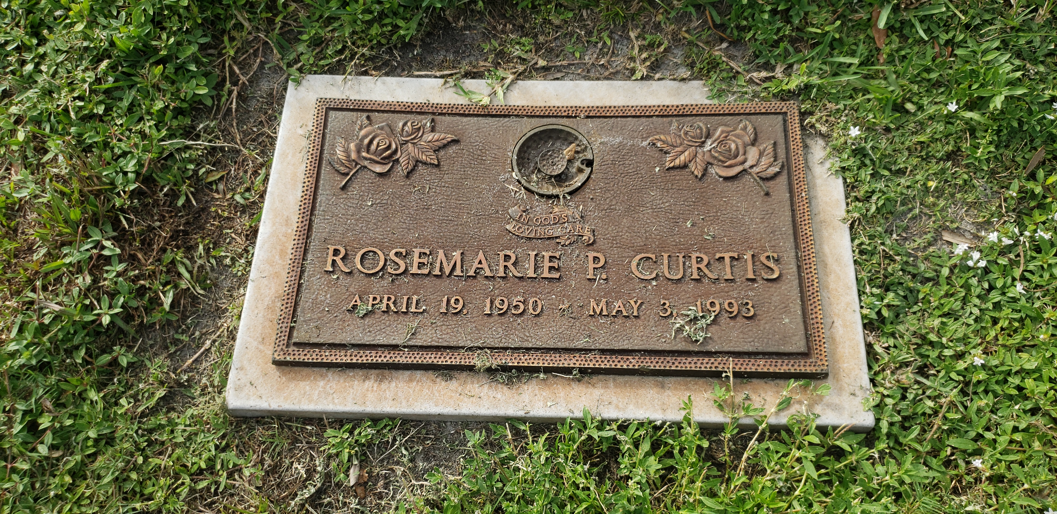 Rosemarie P Curtis