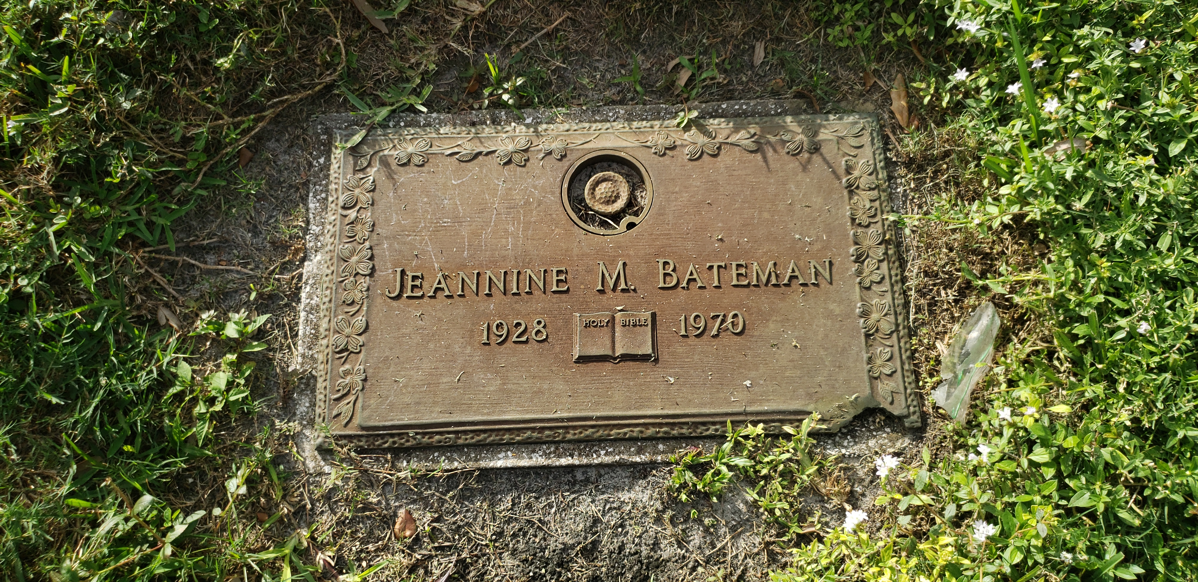 Jeannine M Bateman