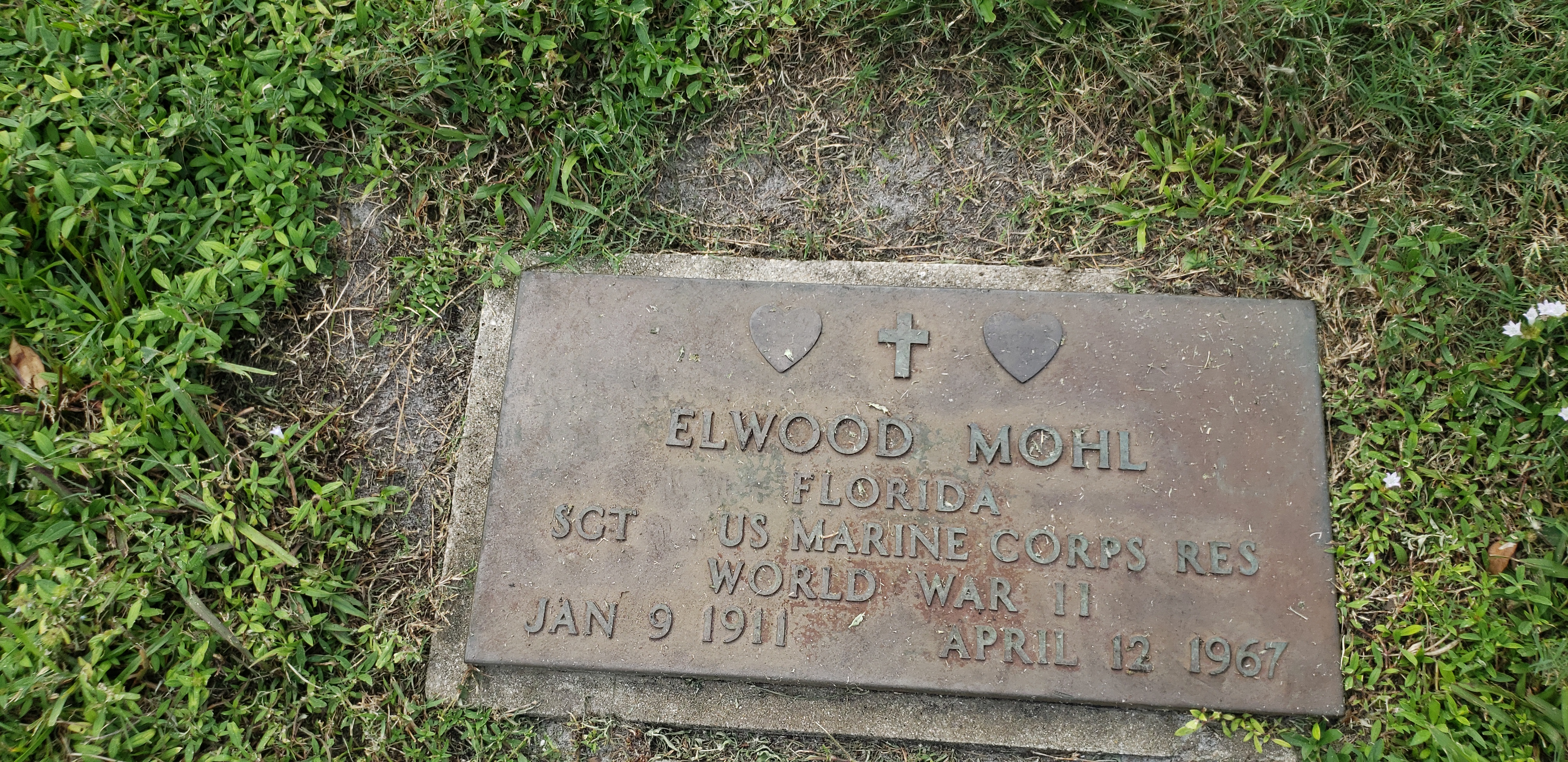 Elwood Mohl
