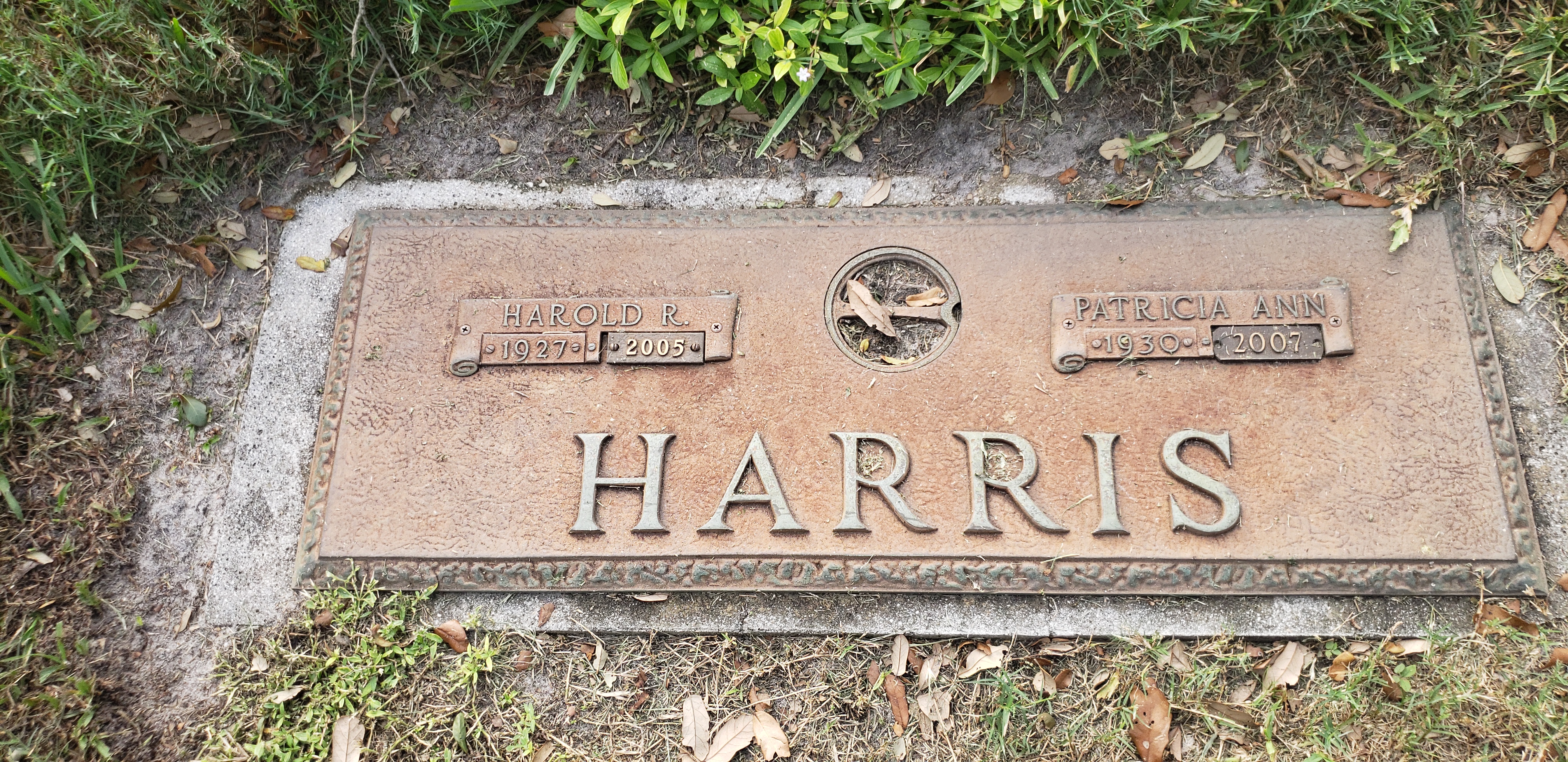 Harold R Harris