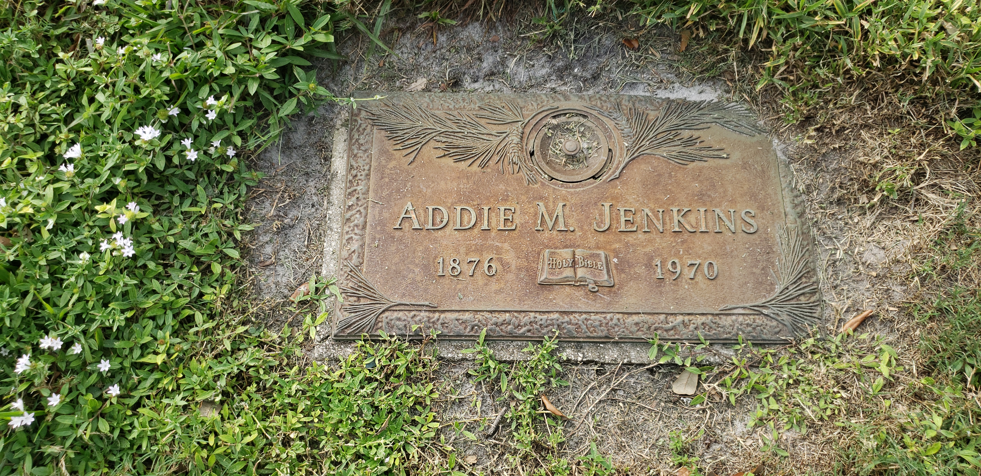 Addie M Jenkins